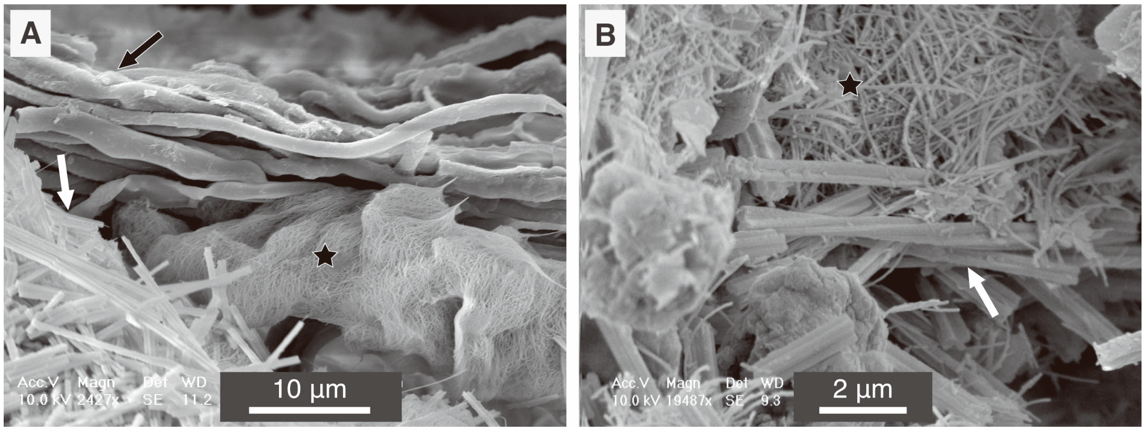 Minerals 06 00041 g006