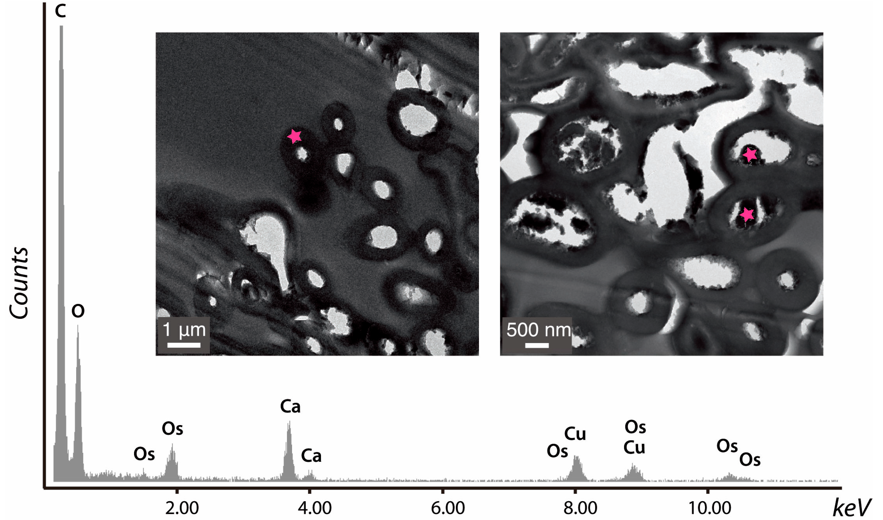 Minerals 06 00041 g007
