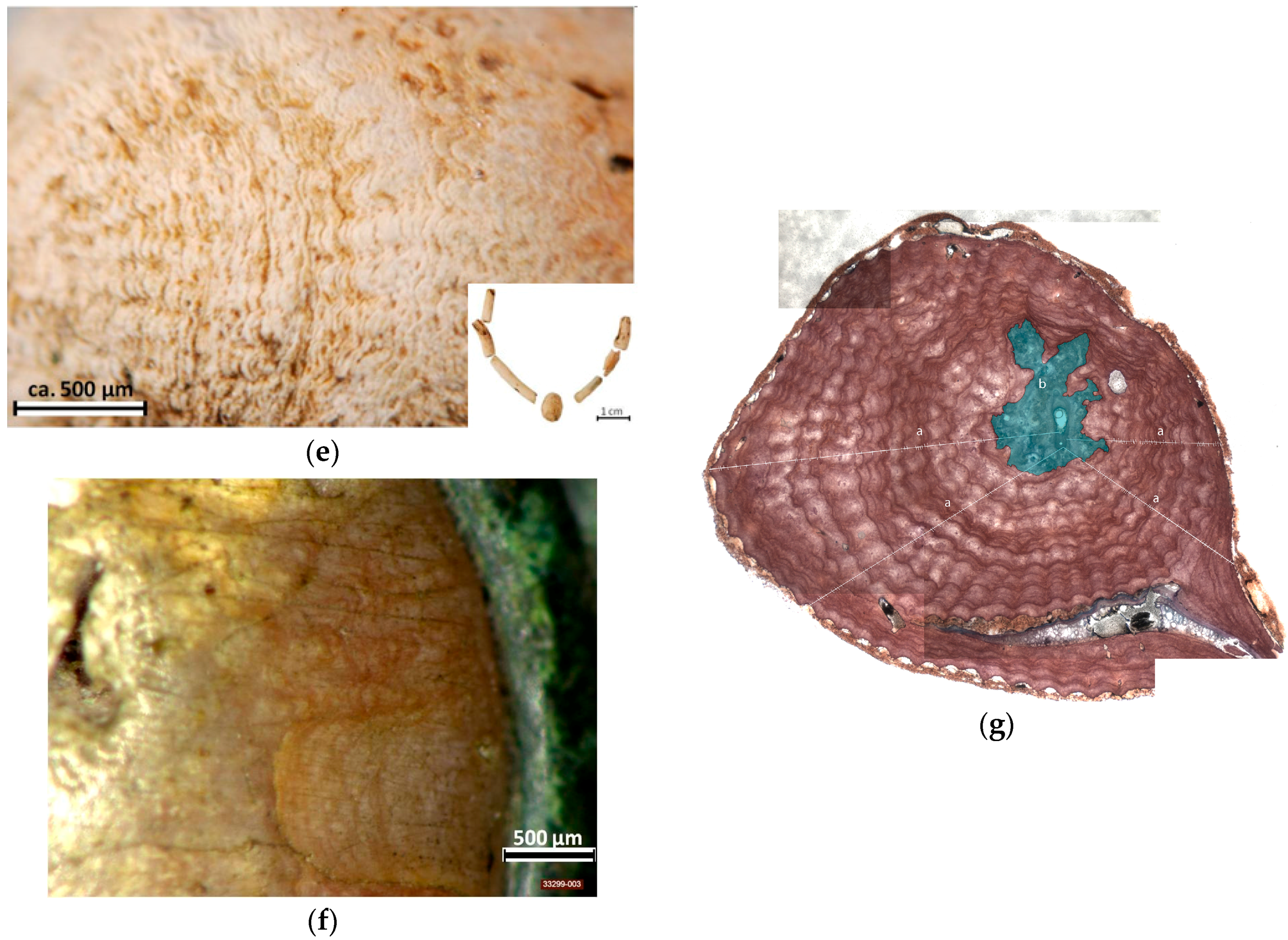 Minerals 06 00056 g003b 1024