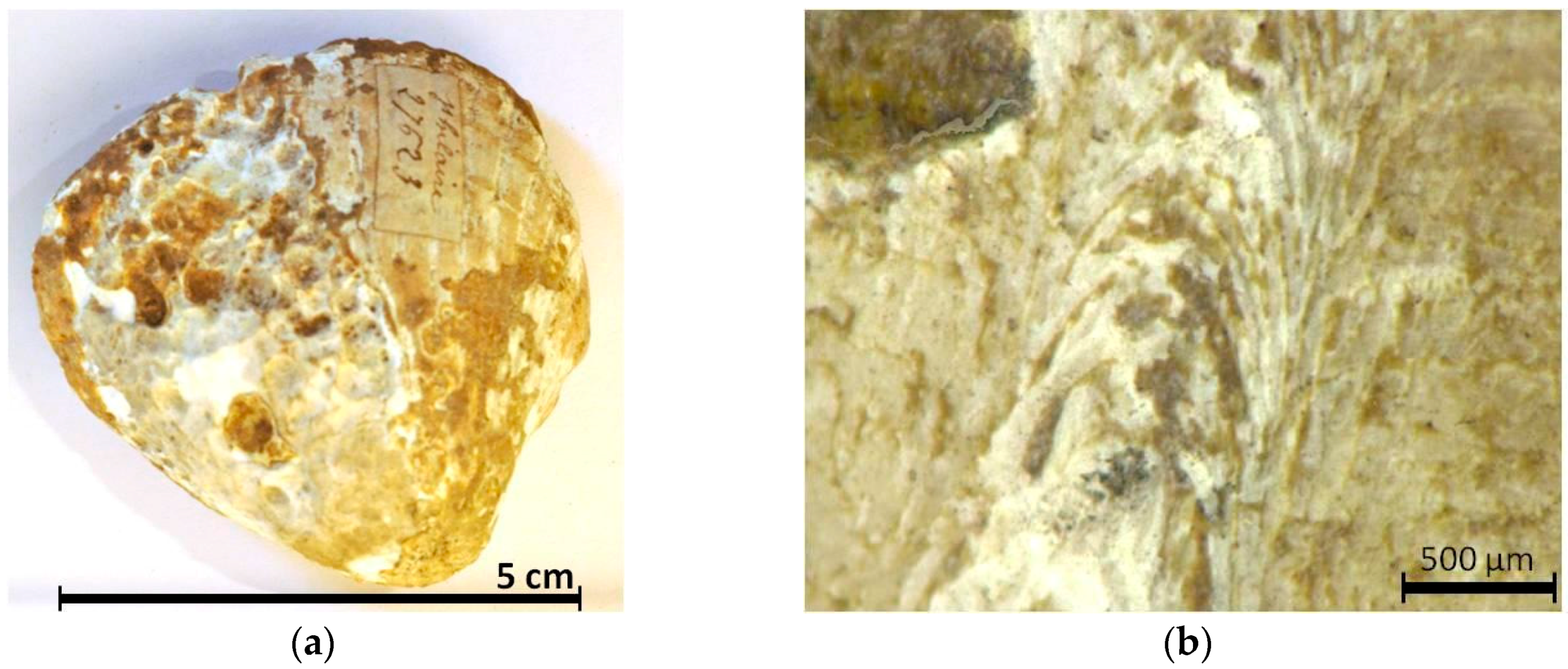 Minerals 06 00056 g012 1024
