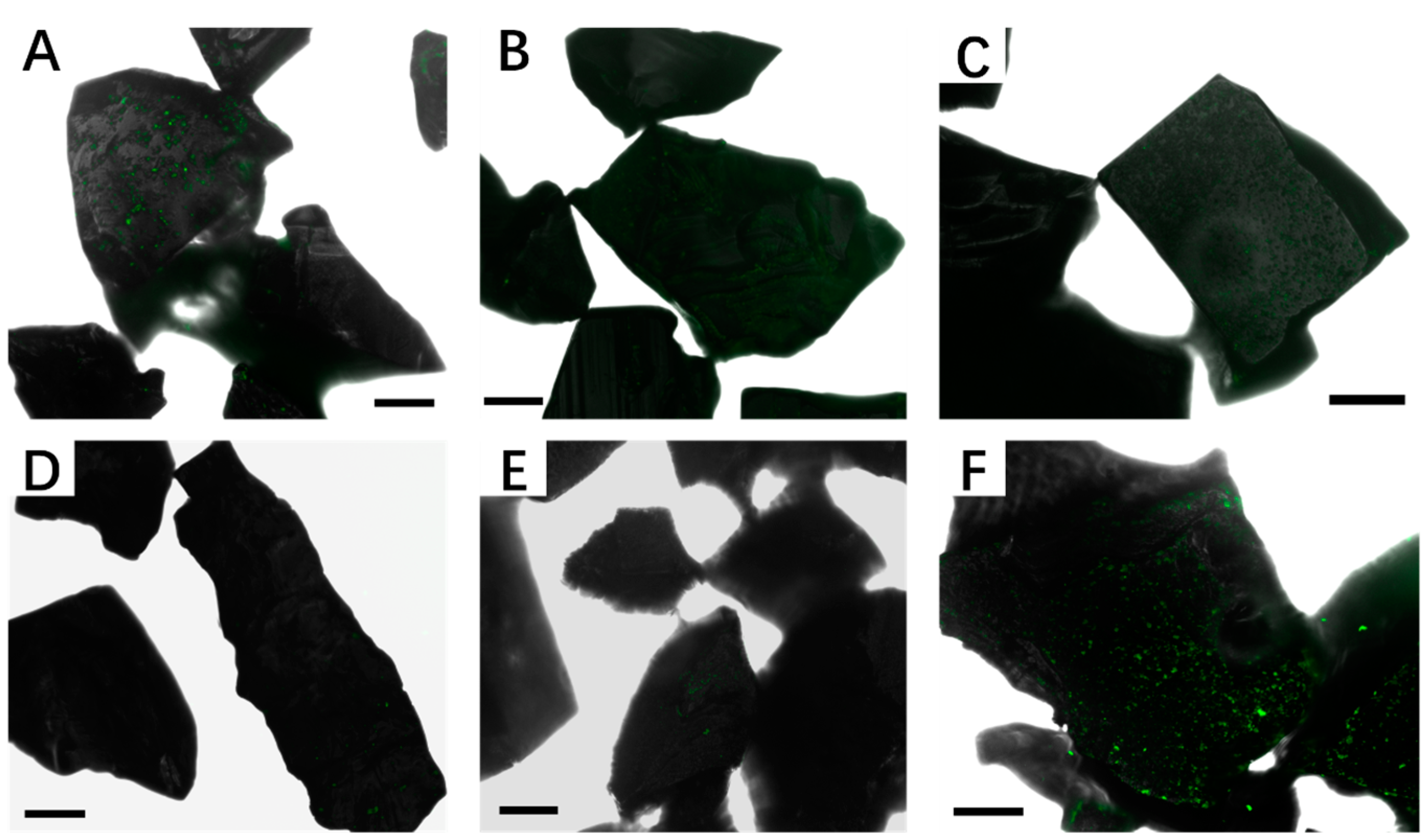 Minerals 06 00071 g003