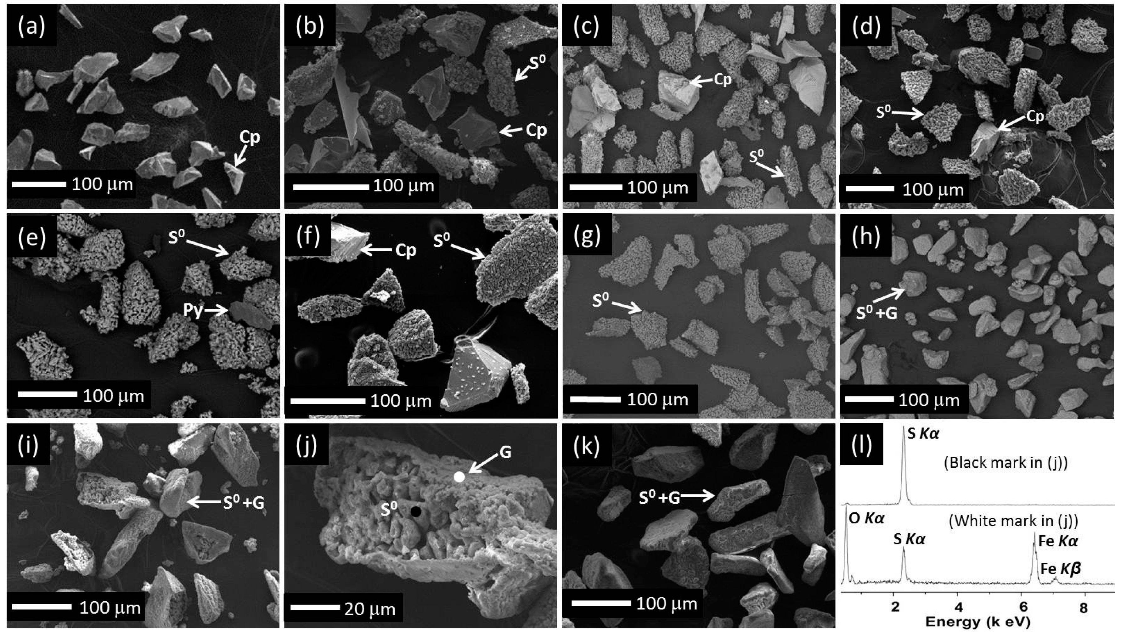 Minerals 06 00083 g008