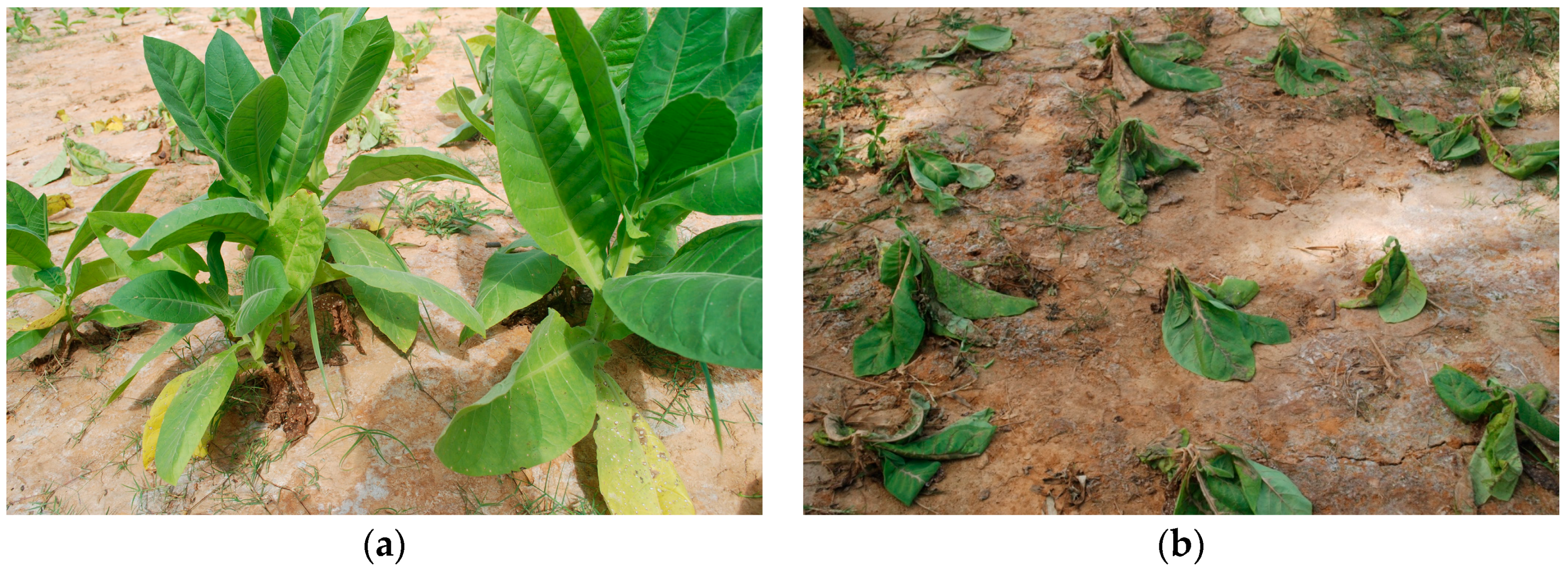 Minerals 06 00084 g002 1024