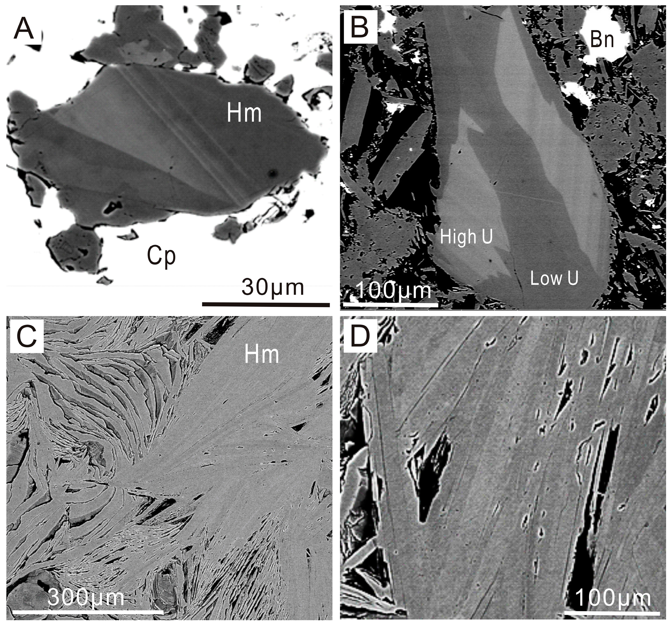Minerals 06 00085 g004 1024