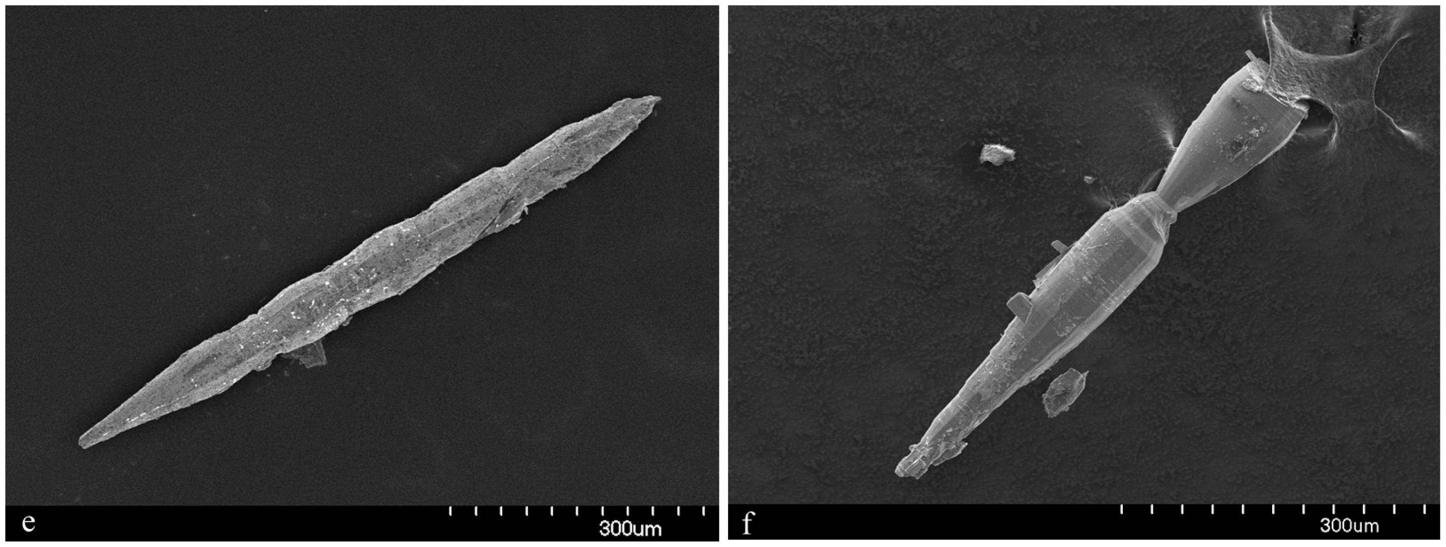 Minerals 06 00115 g004b