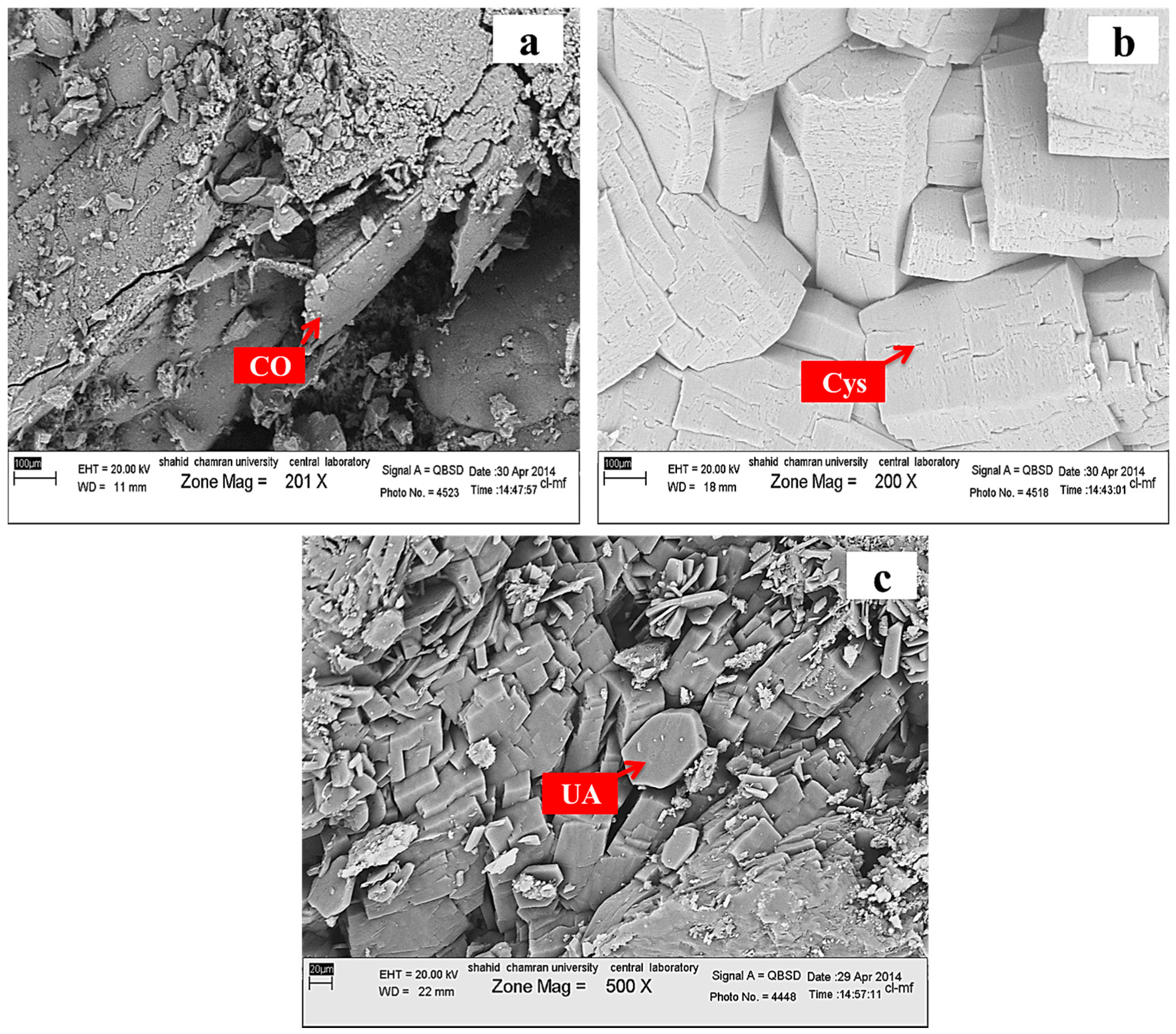 Minerals 06 00131 g006