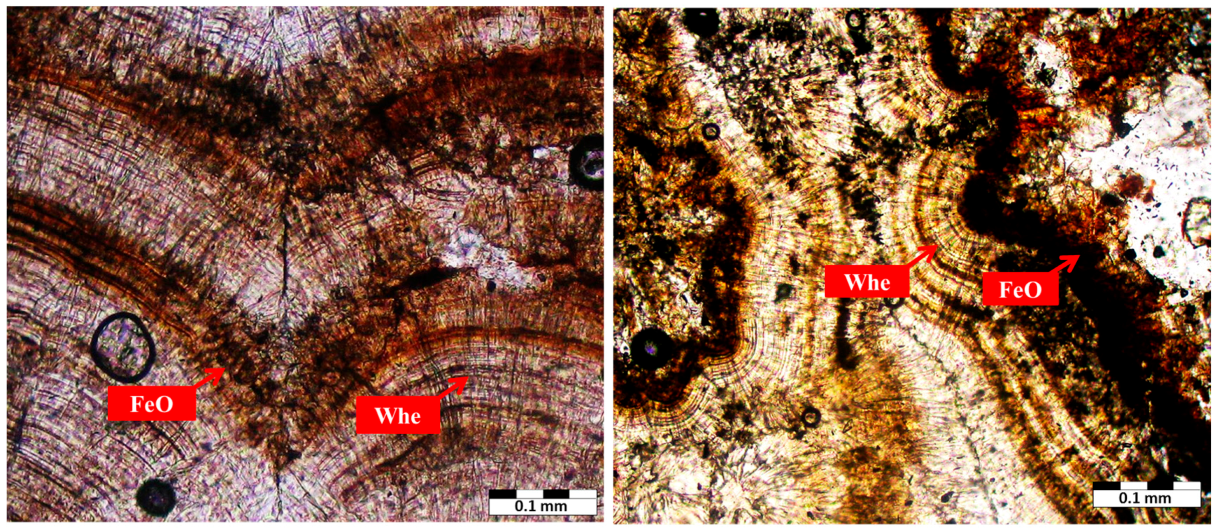 Minerals 06 00131 g009