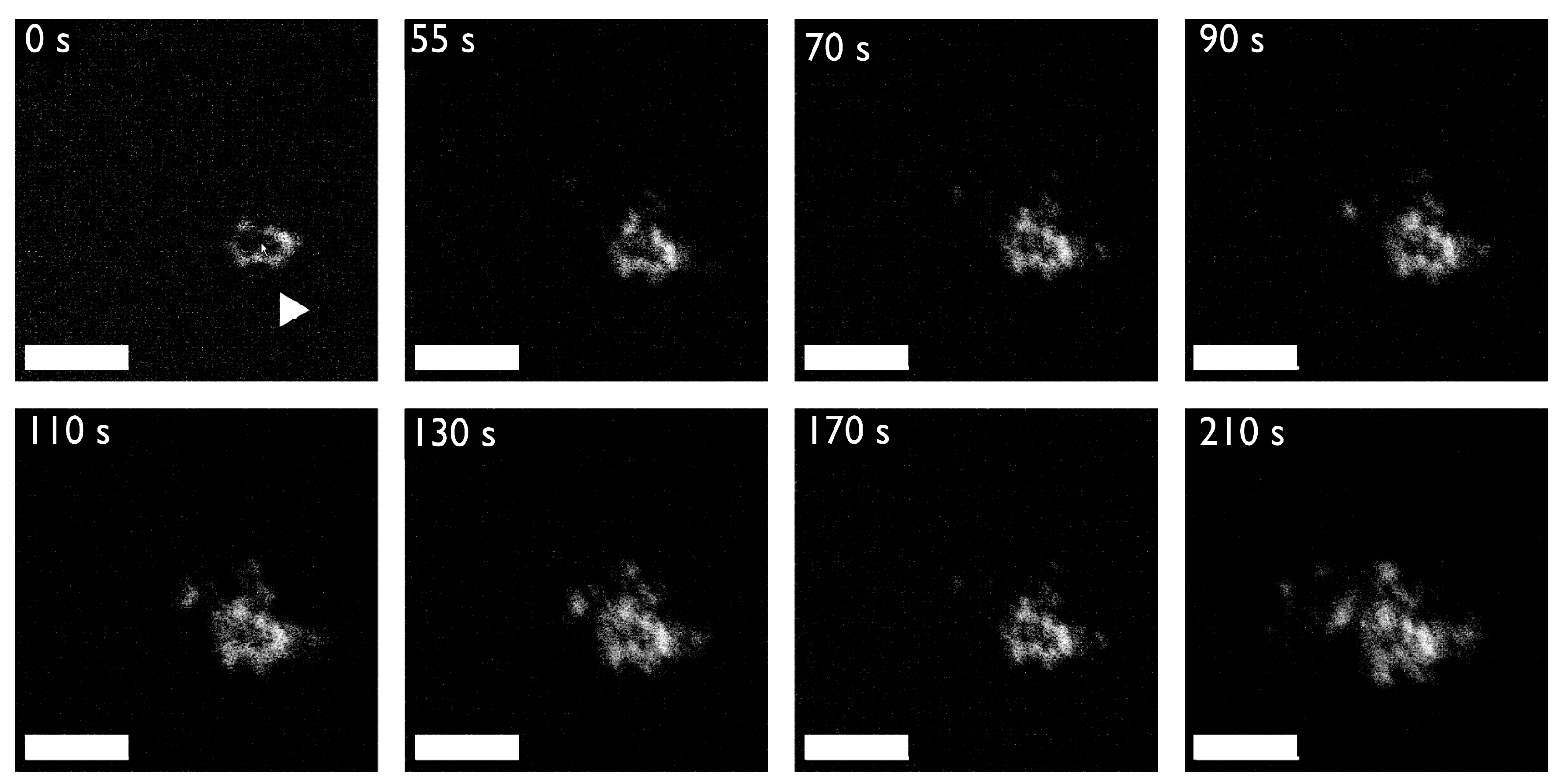 Minerals 07 00062 g005