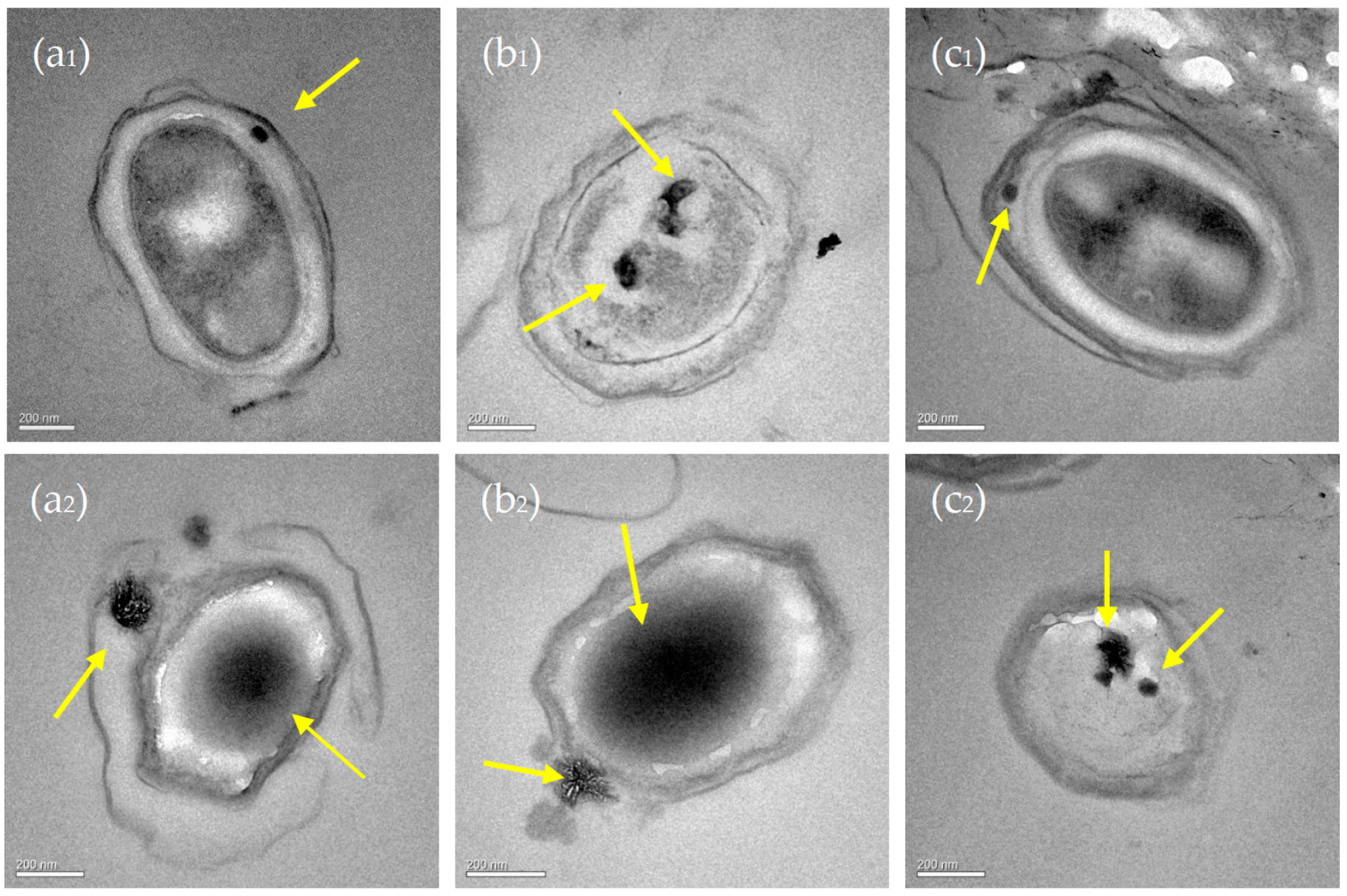 Minerals 07 00095 g011 550