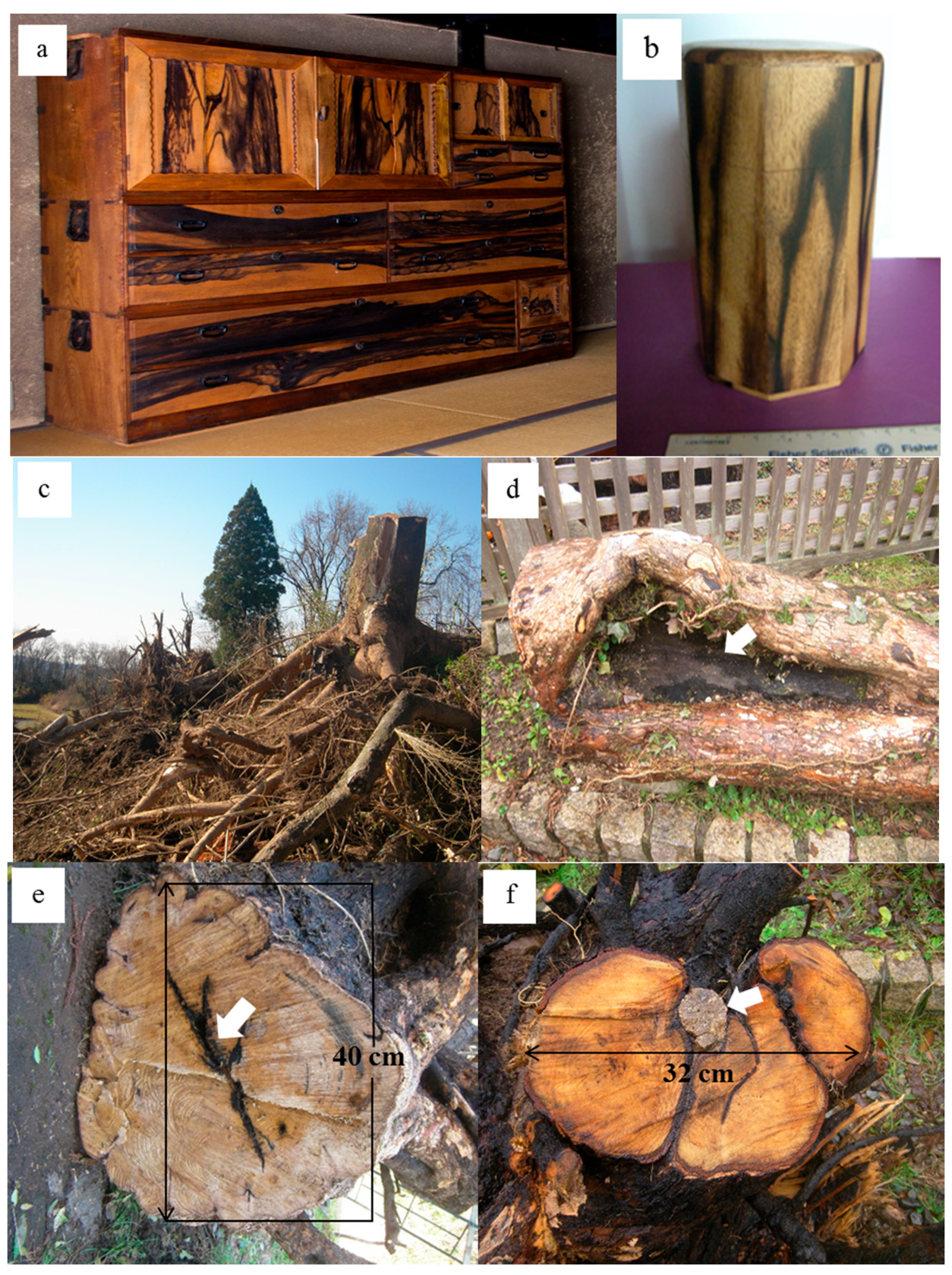 Minerals 07 00123 g001 550