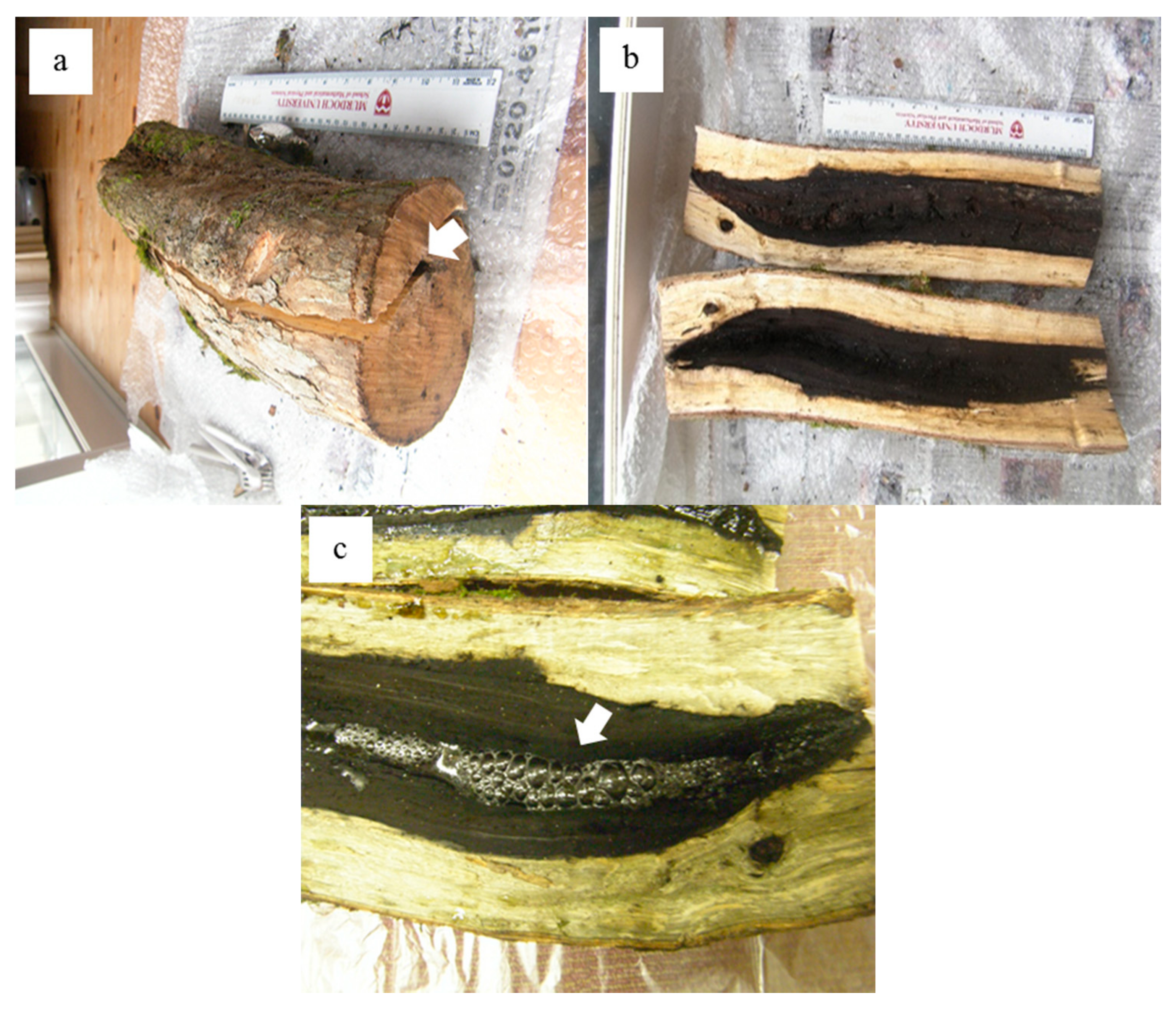 Minerals 07 00123 g002 550