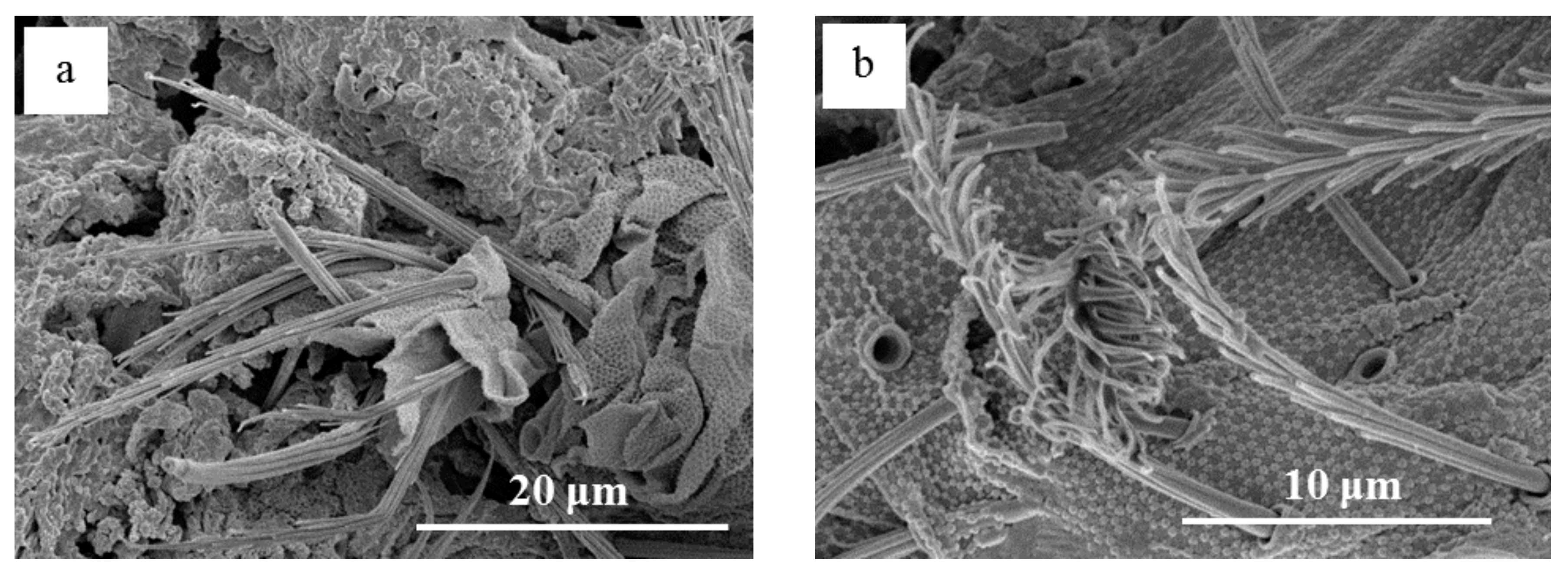 Minerals 07 00123 g008a 550