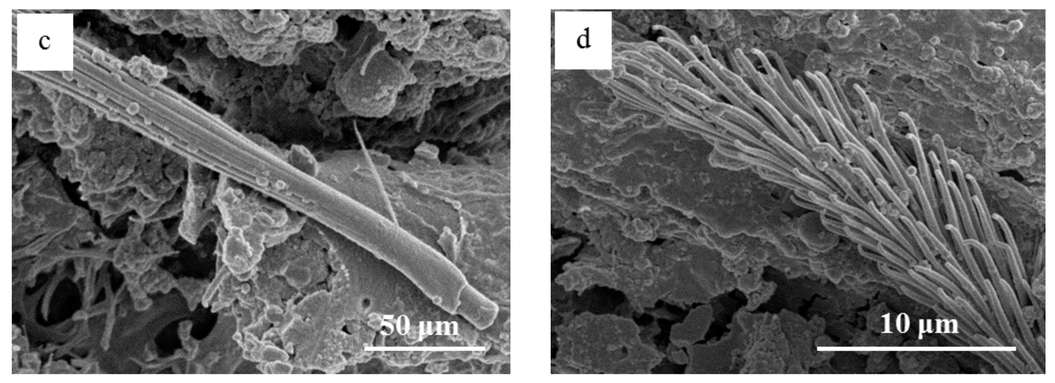 Minerals 07 00123 g008b 550