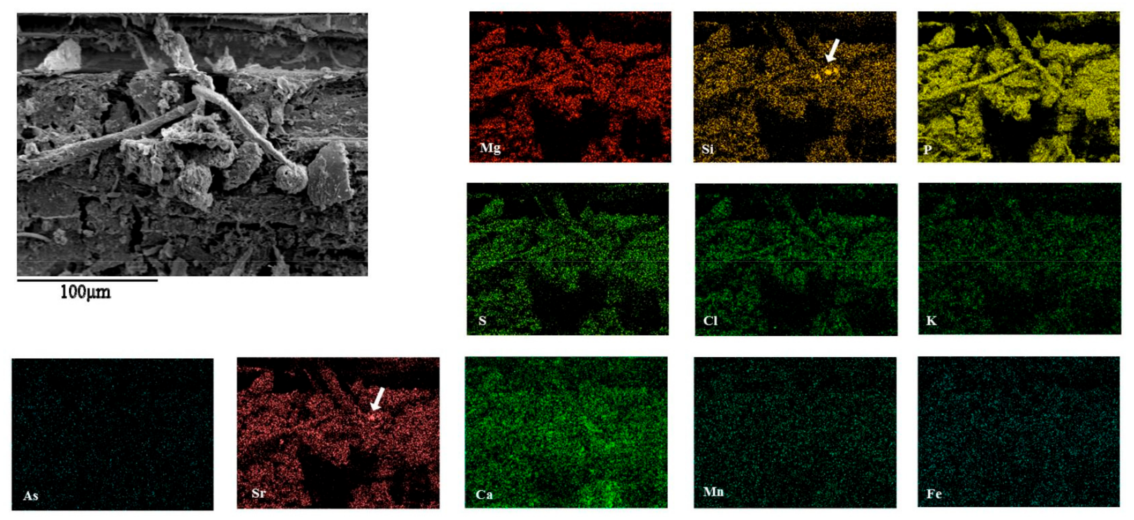 Minerals 07 00123 g010 550