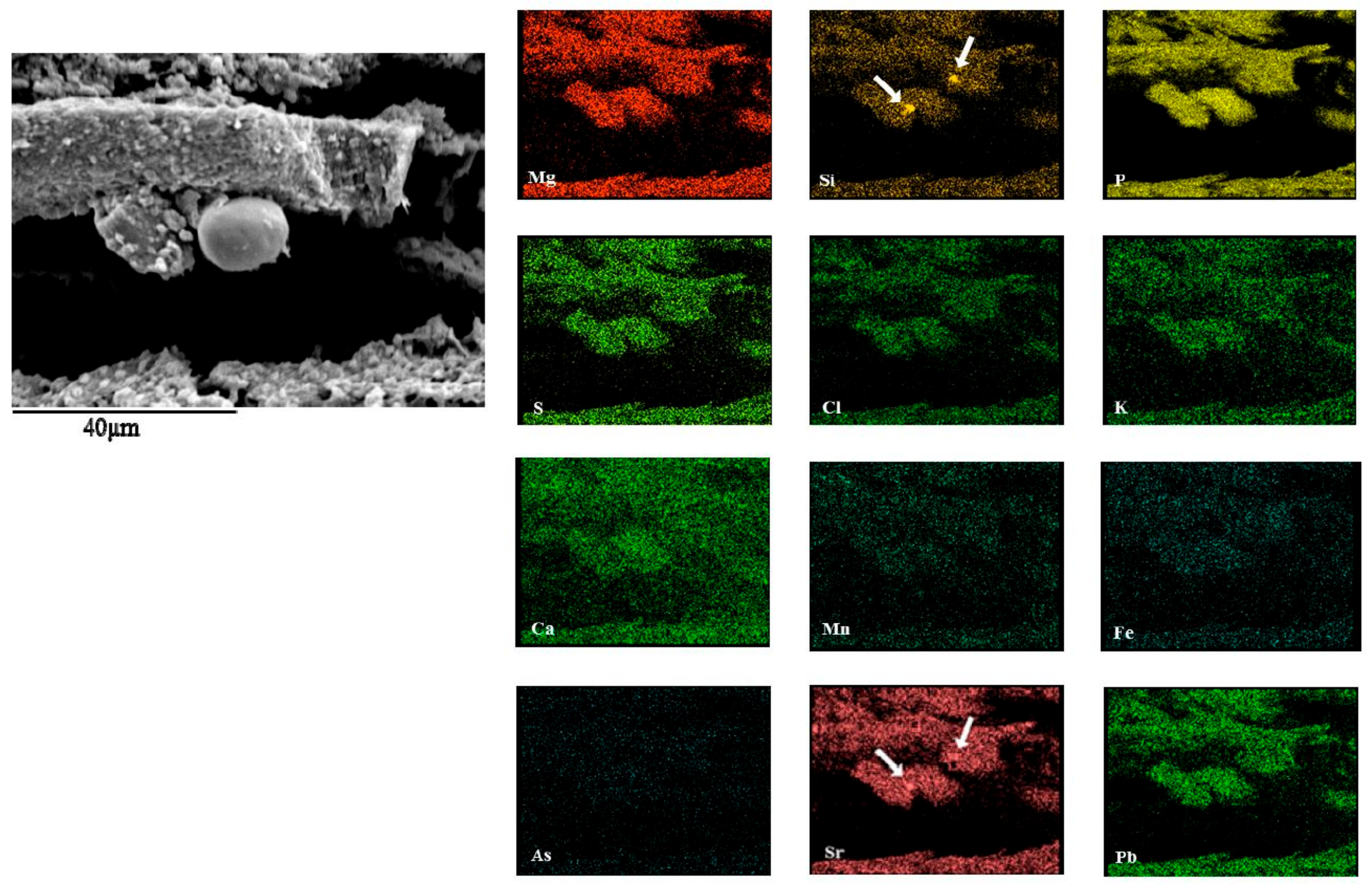 Minerals 07 00123 g011 550
