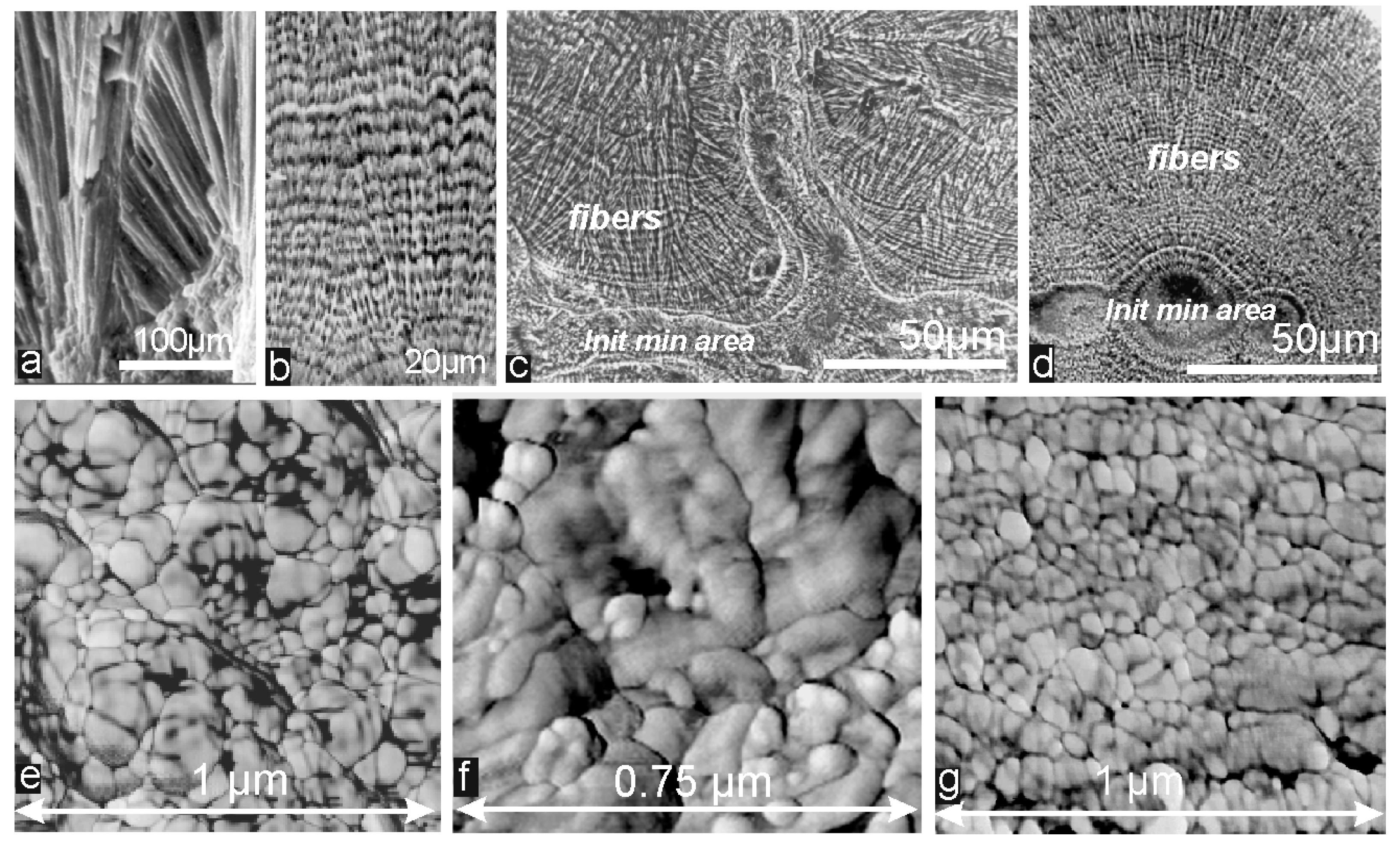 Minerals 07 00154 g013