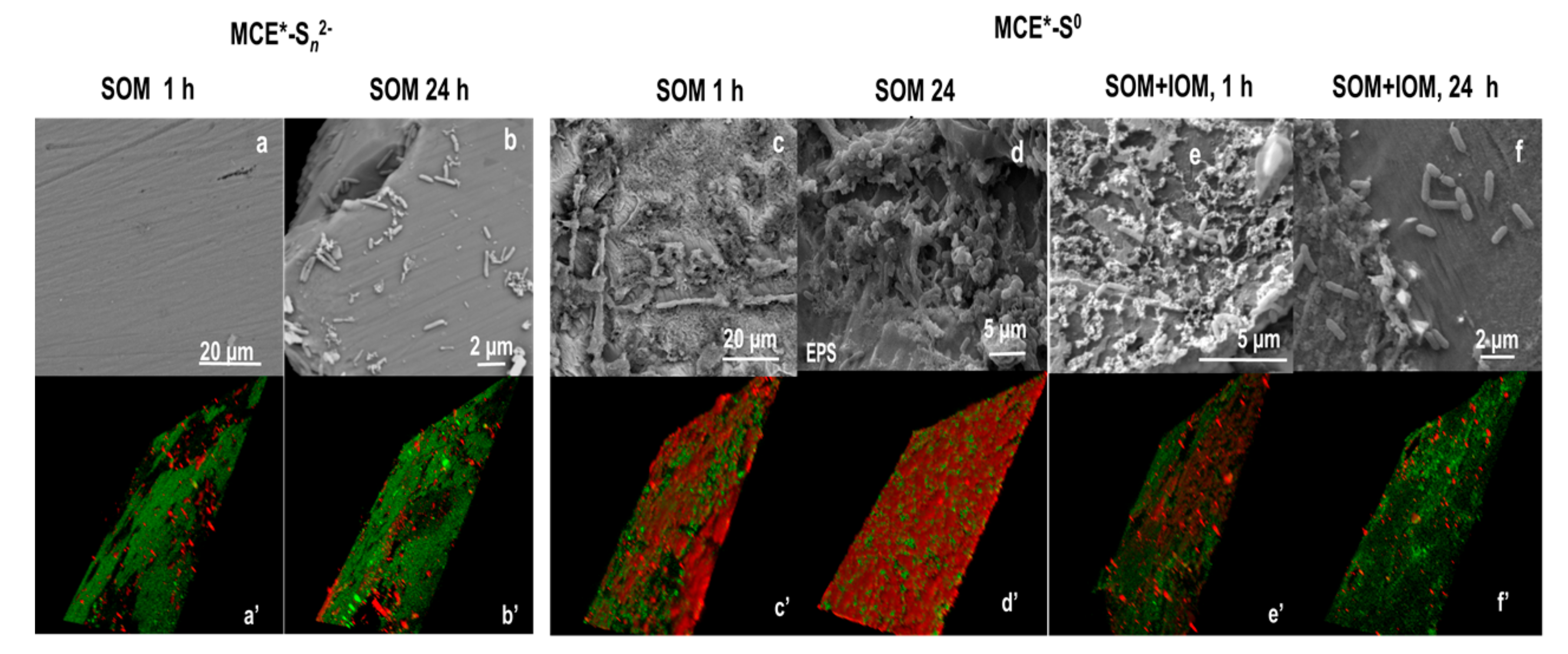 Minerals 07 00156 g003 550