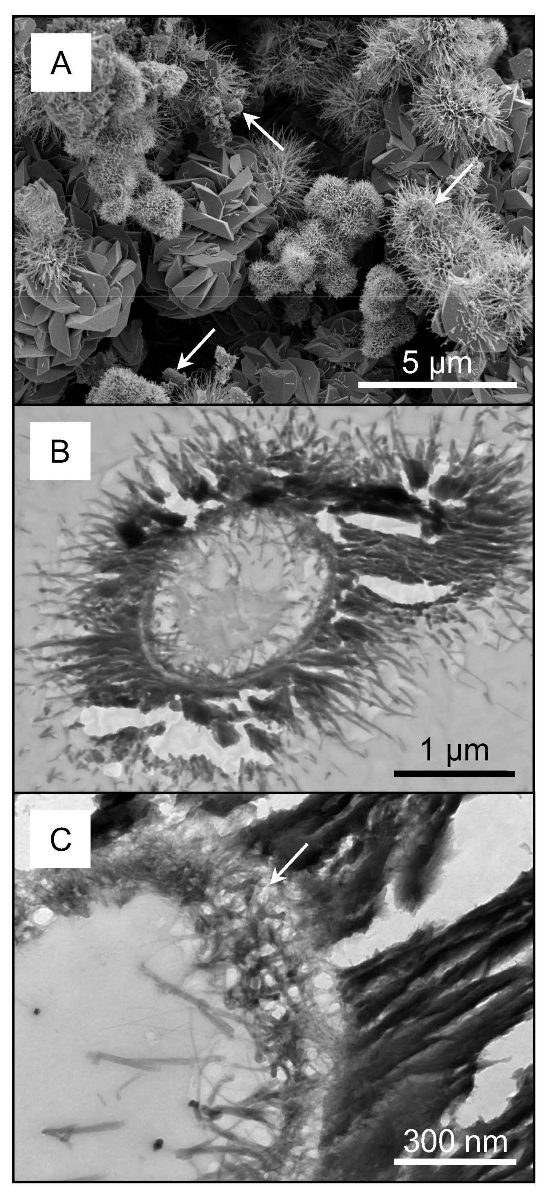 Minerals 07 00218 g004 Minerals 07 00218 g004
