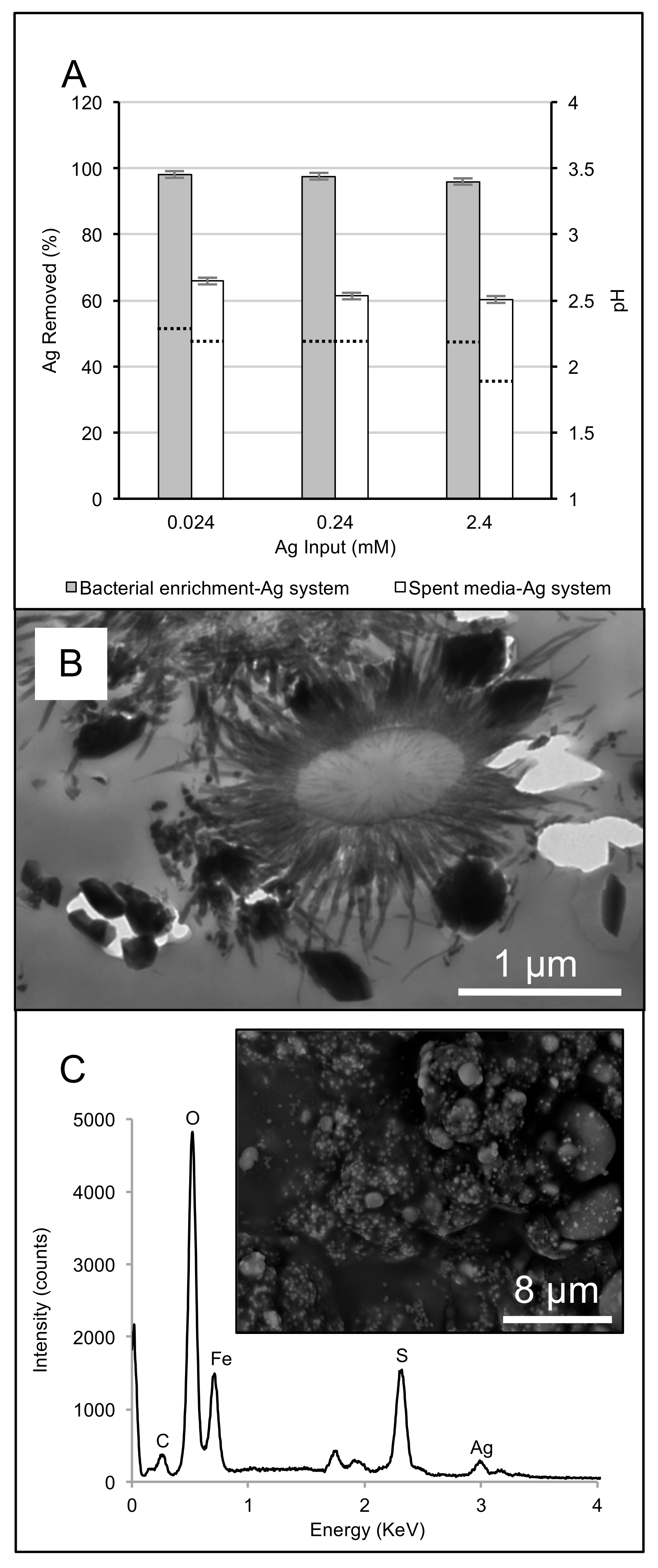 Minerals 07 00218 g005 Minerals 07 00218 g005