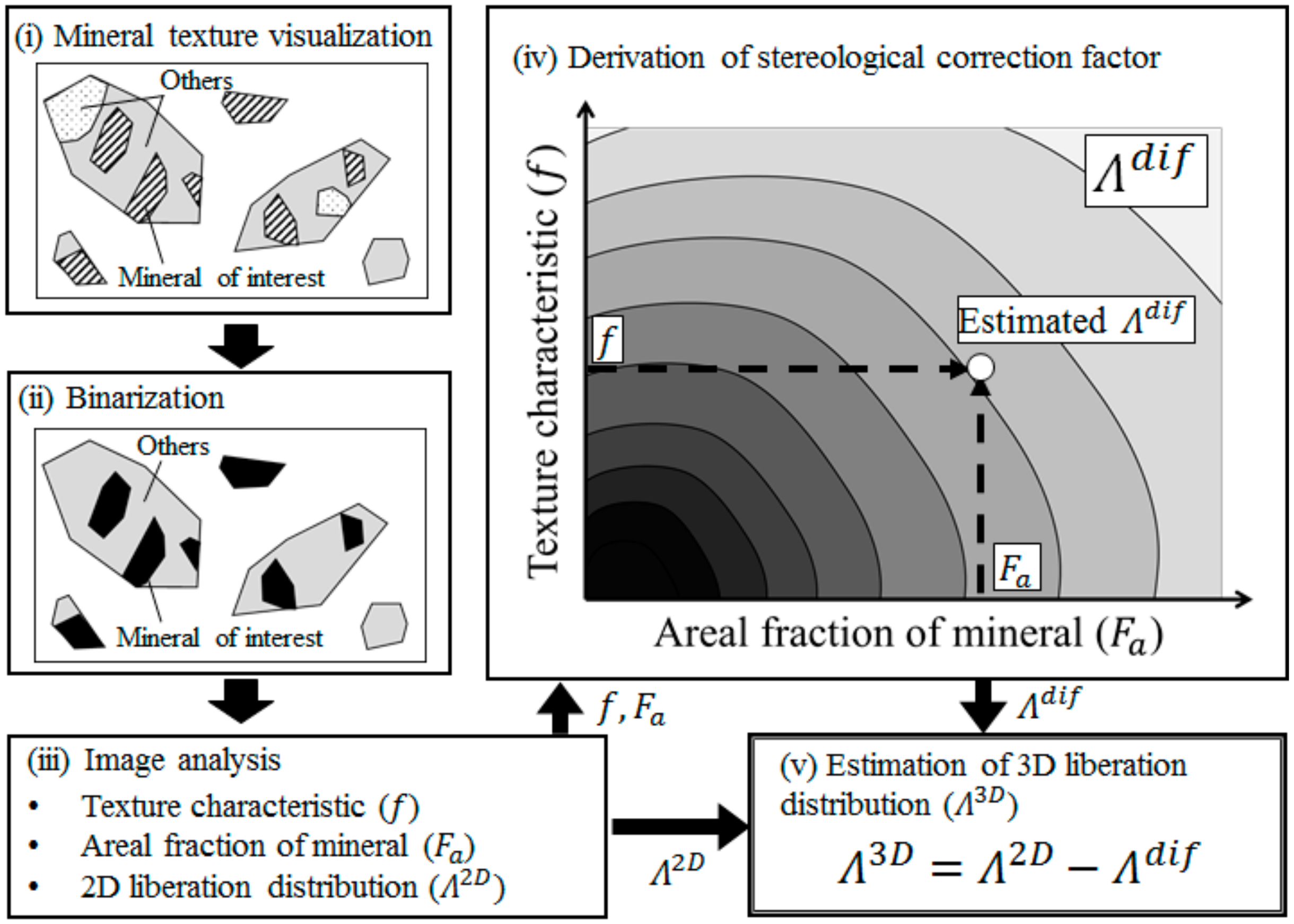 image analysis & stereology