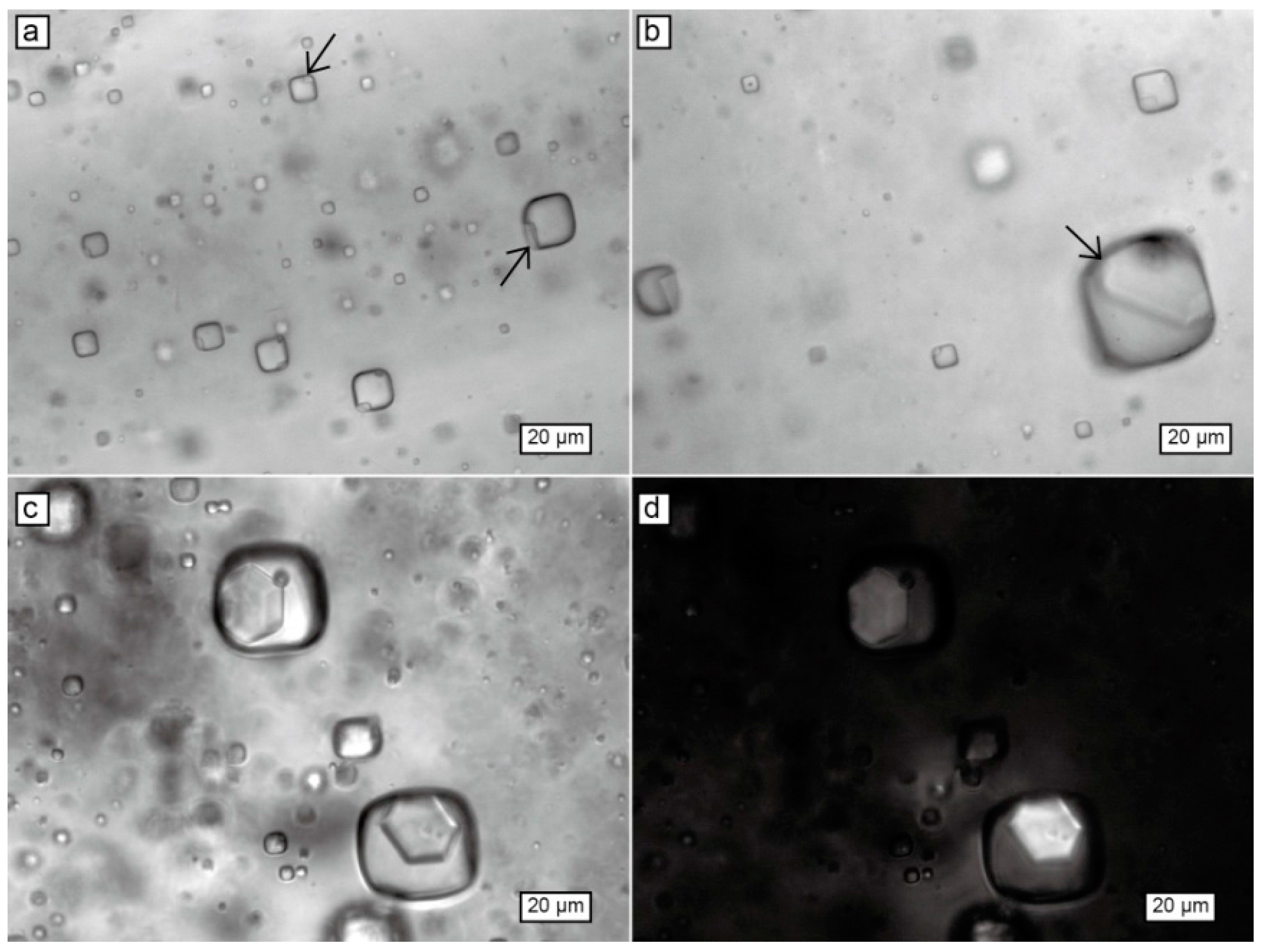 Minerals 07 00245 g004