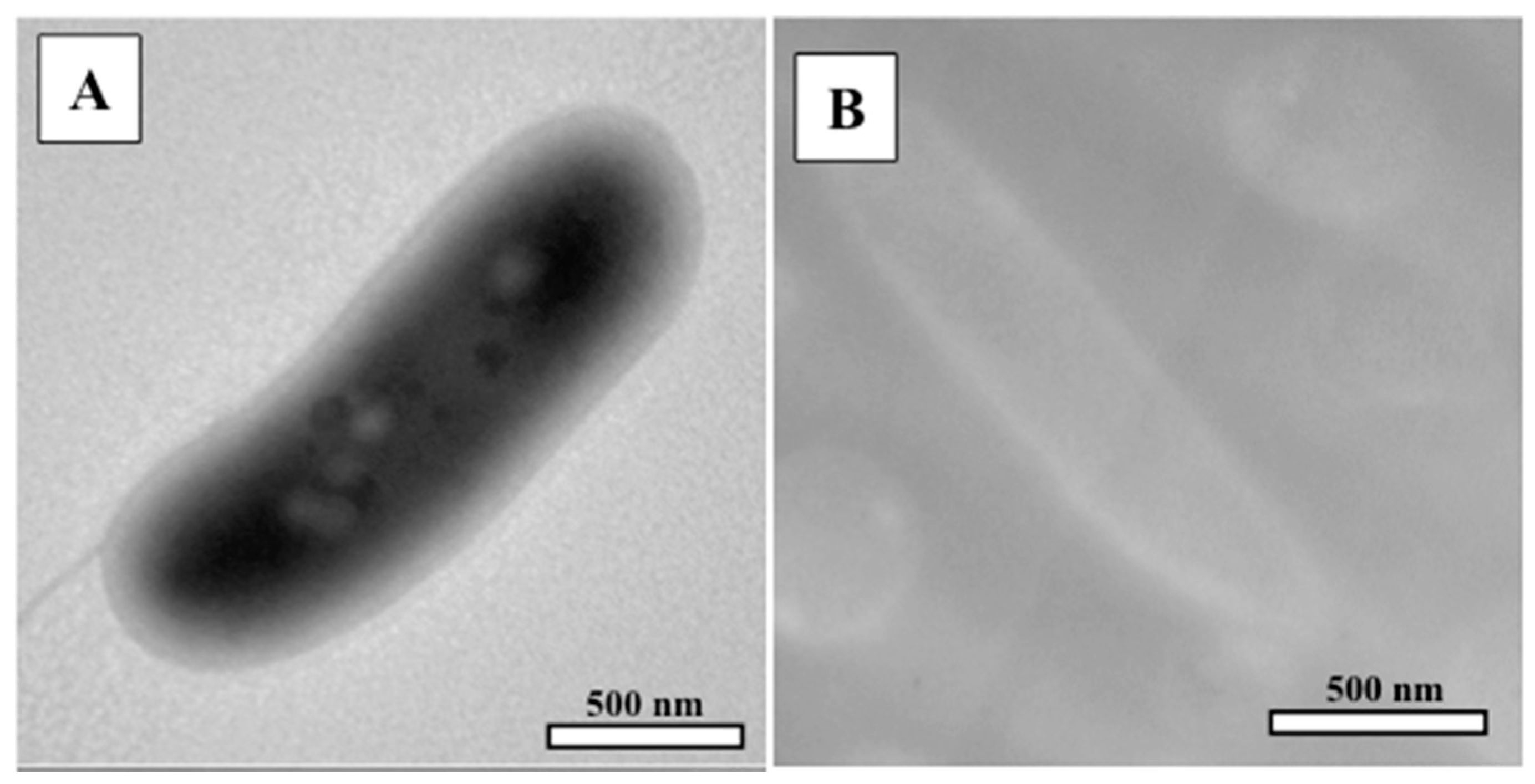Minerals 08 00010 g001 Minerals 08 00010 g001