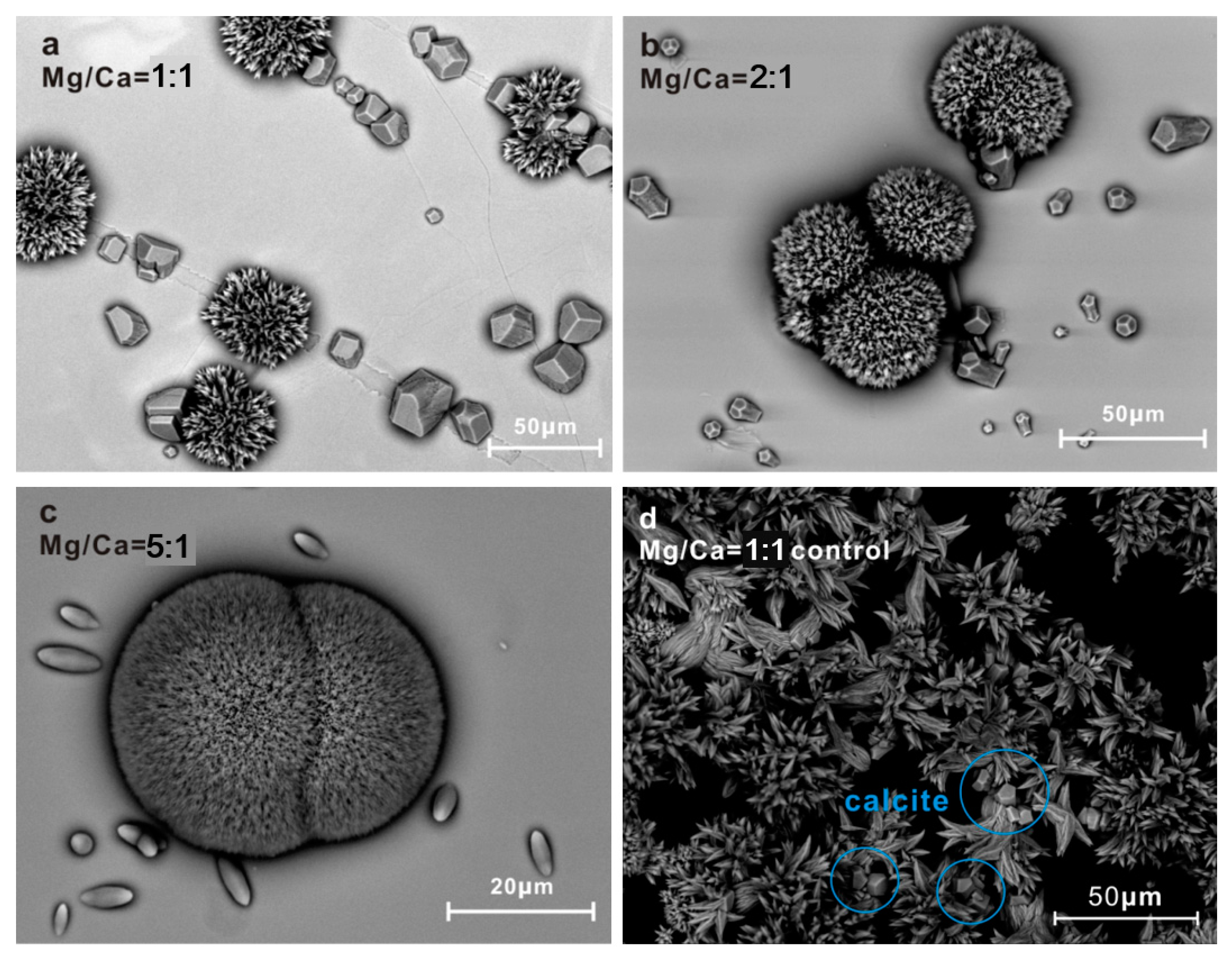 Minerals 08 00017 g008 Minerals 08 00017 g008