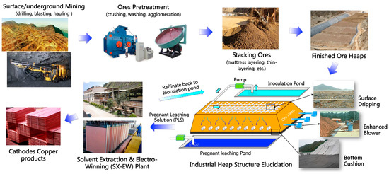 Minerals Free Full Text Copper Bioleaching In China Review And Prospect Html