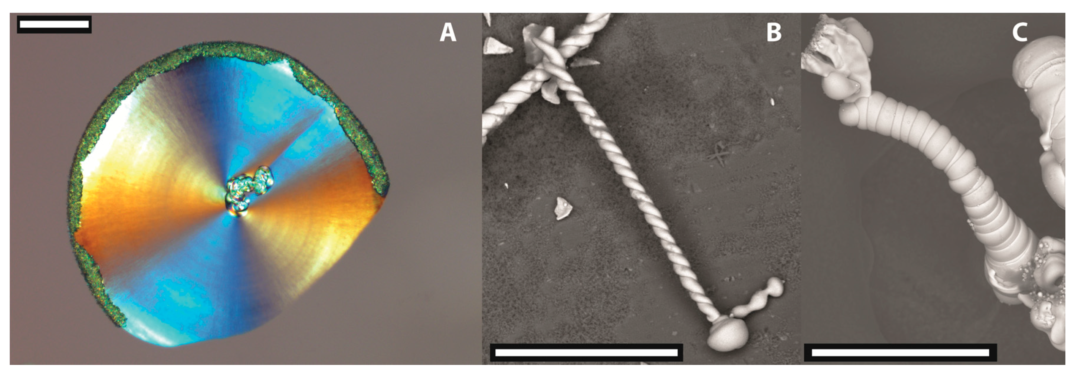 Minerals 08 00075 g001