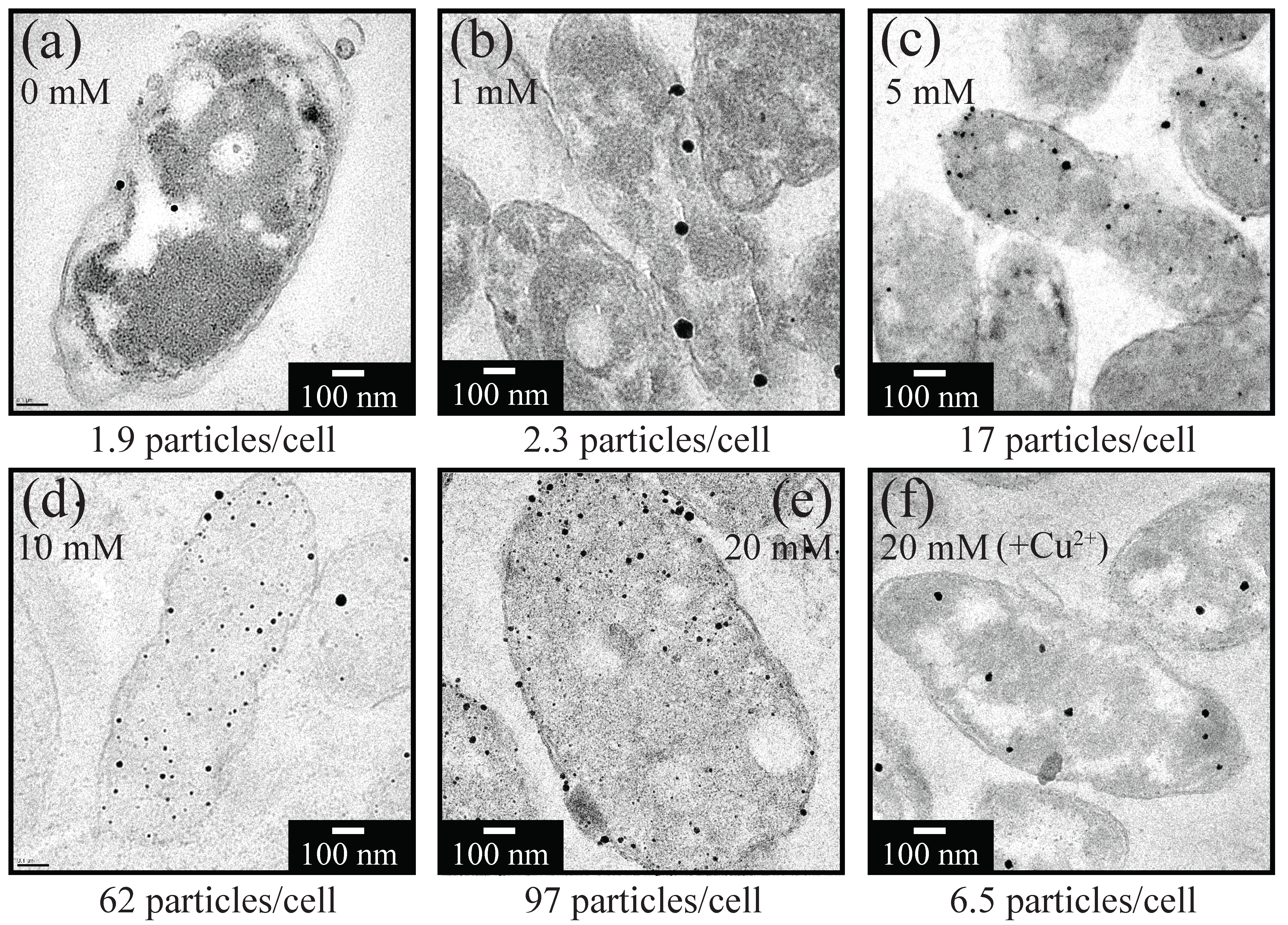 Minerals 08 00081 g005