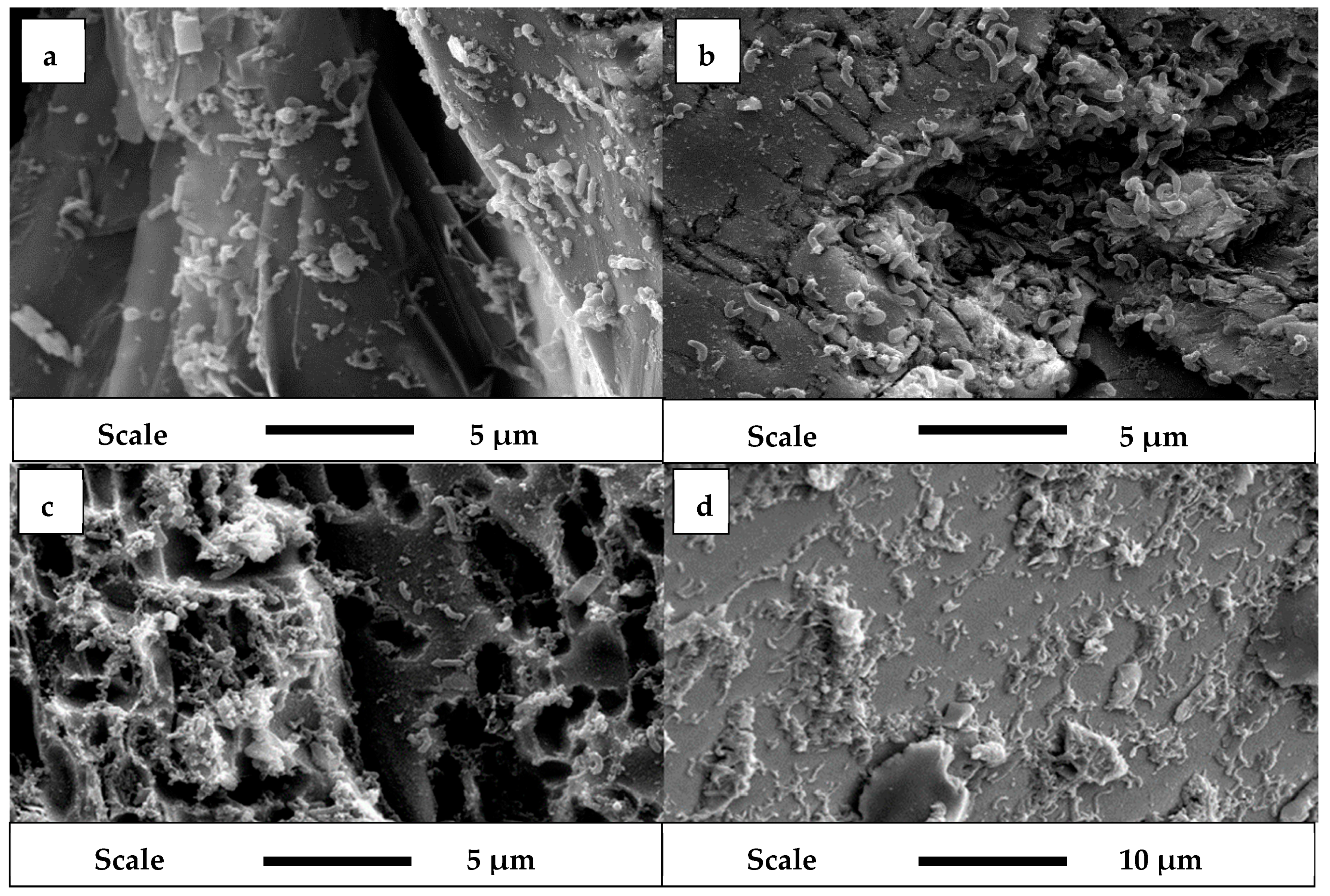Minerals 08 00086 g002 550
