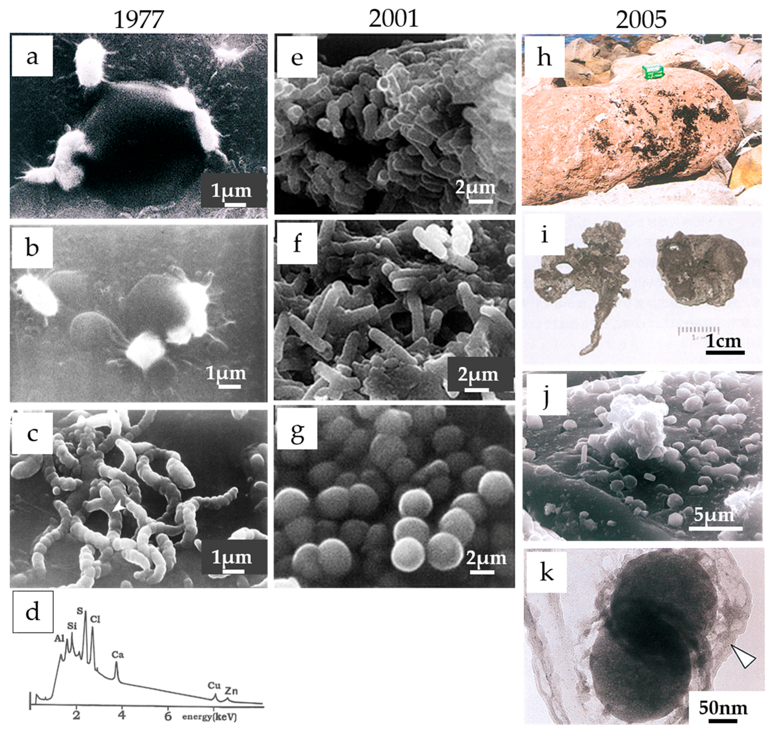Minerals 08 00178 g004 550