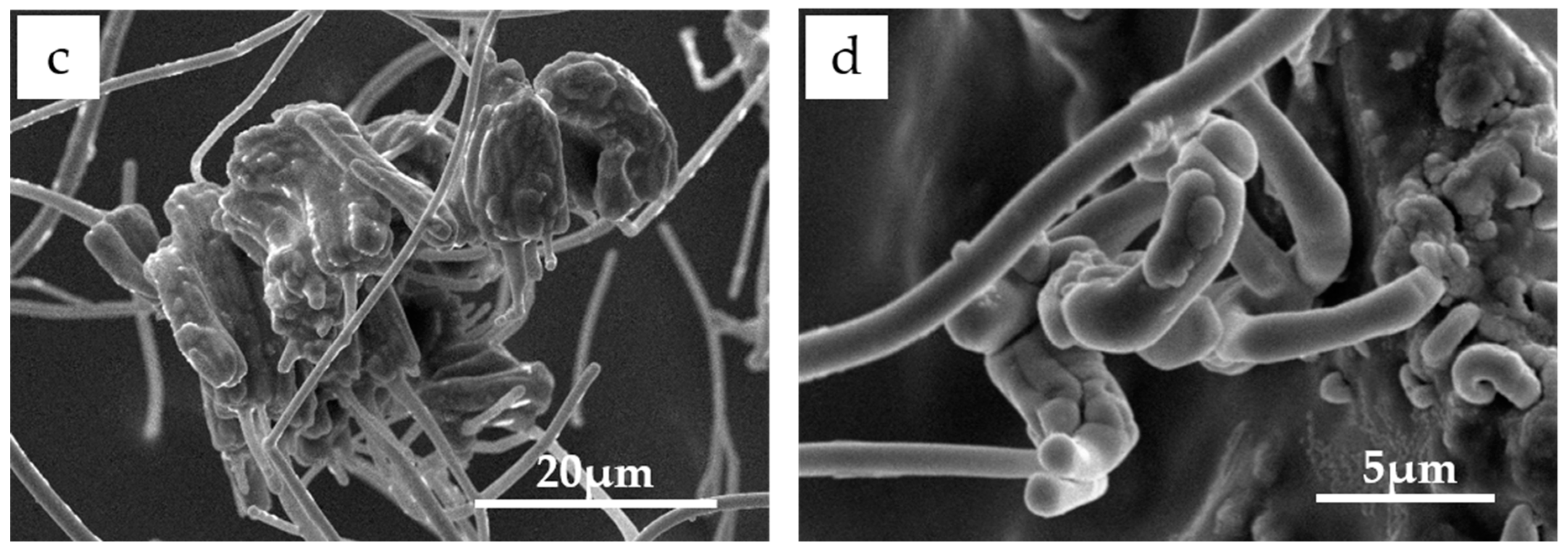 Minerals 08 00178 g006b 550
