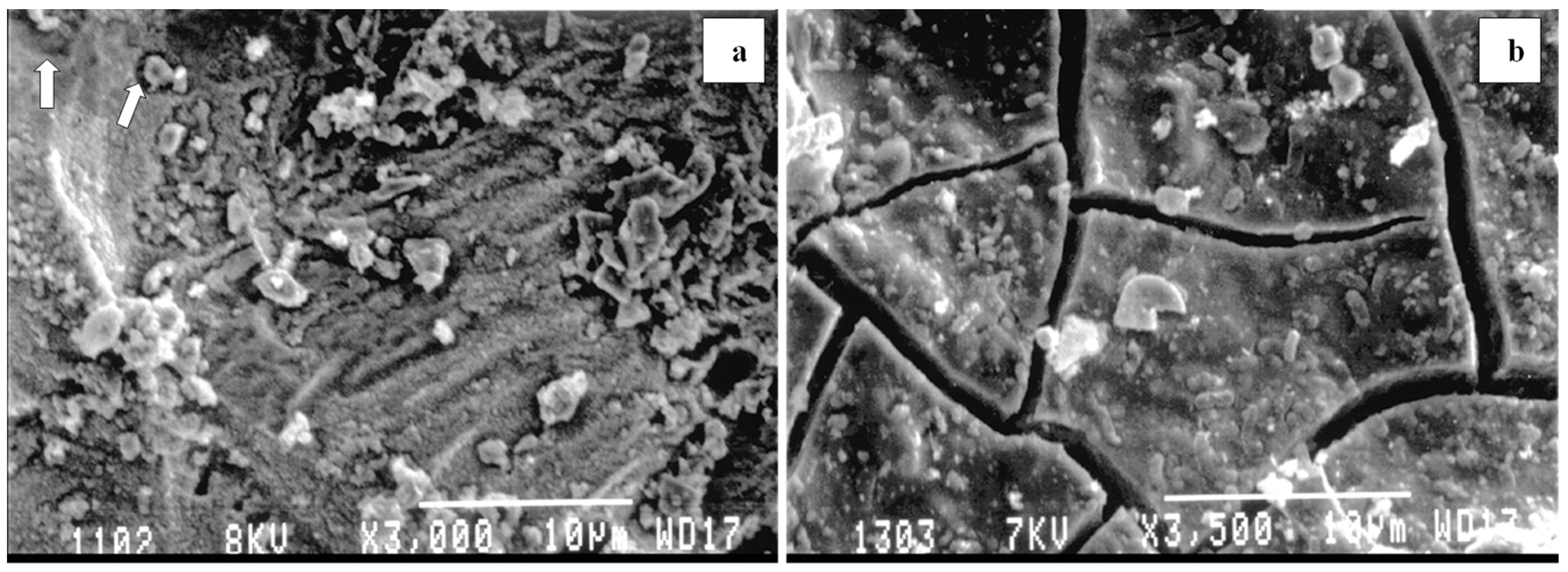 Minerals 08 00199 g002 Minerals 08 00199 g002
