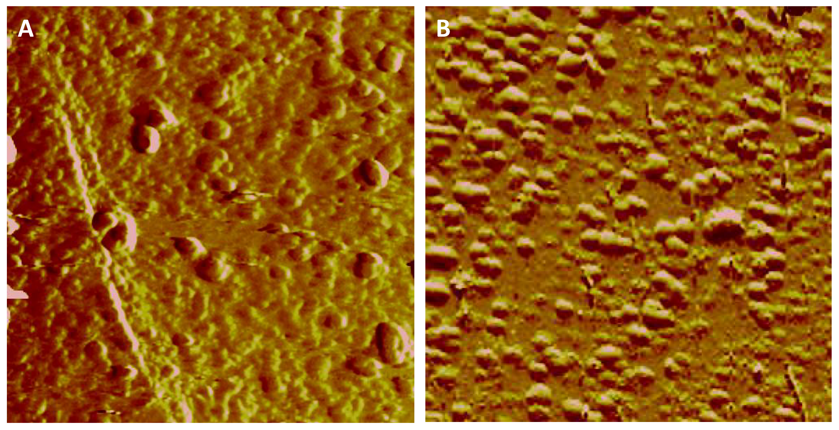 Minerals 08 00207 g002