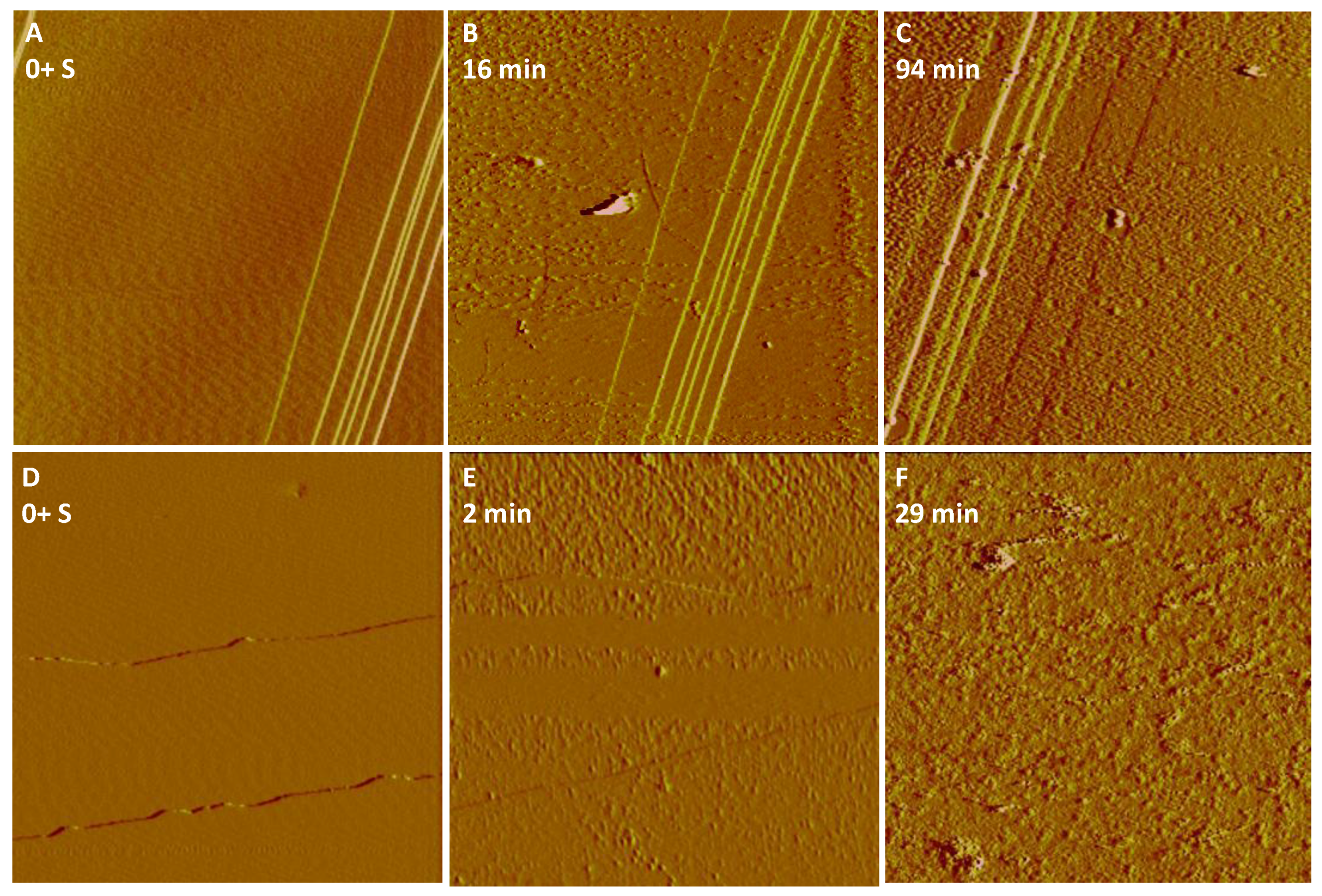 Minerals 08 00207 g005