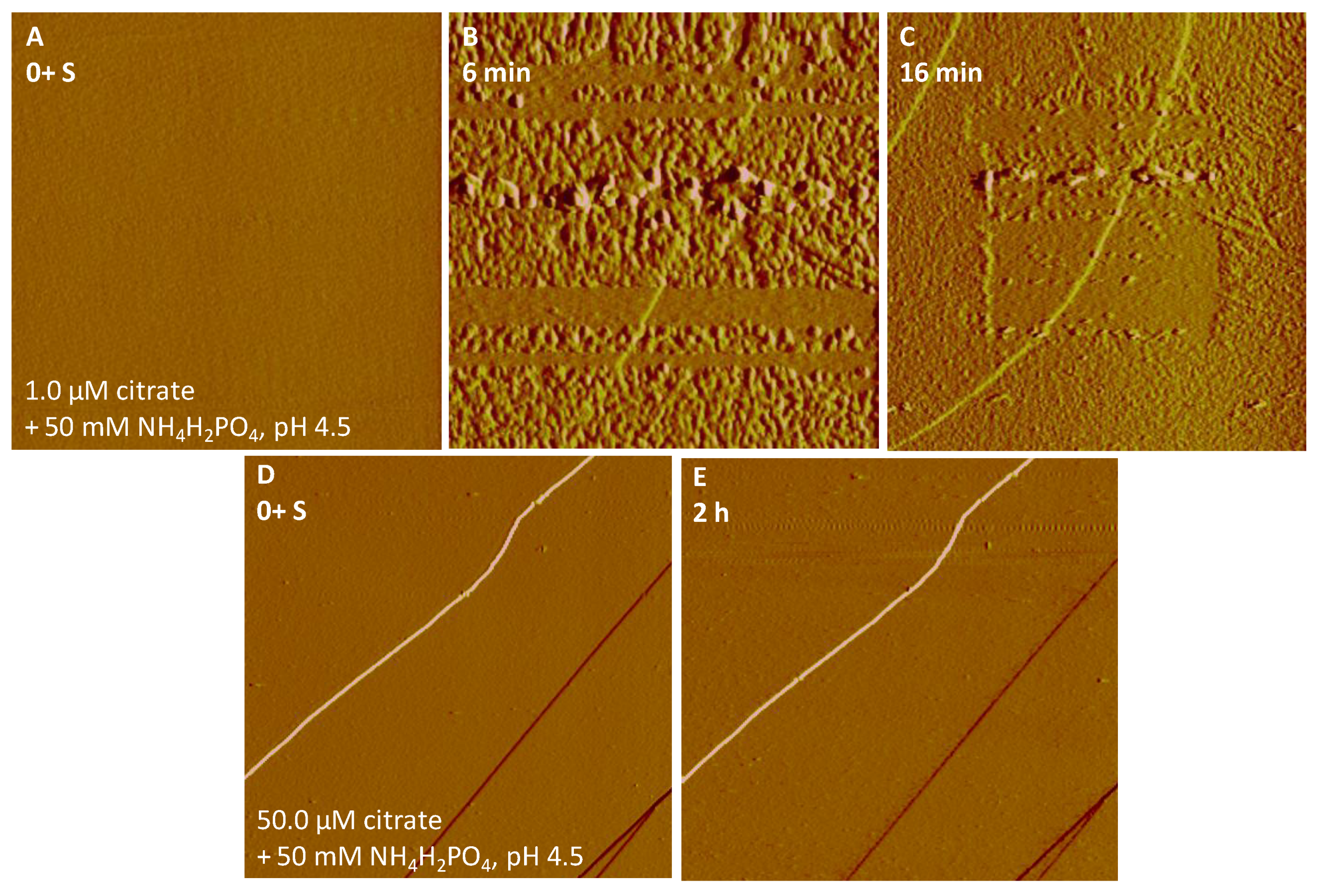 Minerals 08 00207 g007
