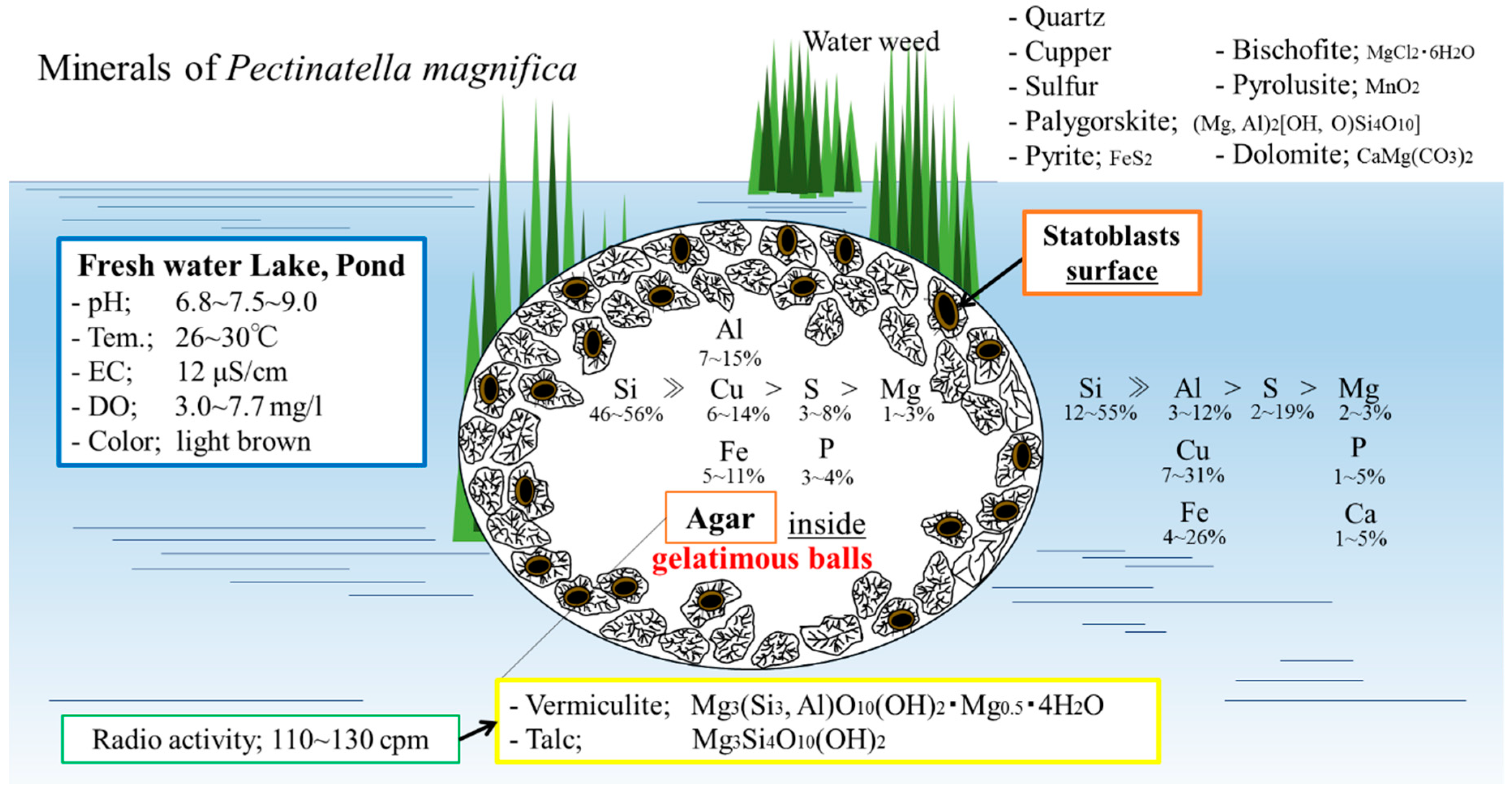 Minerals 08 00242 g007
