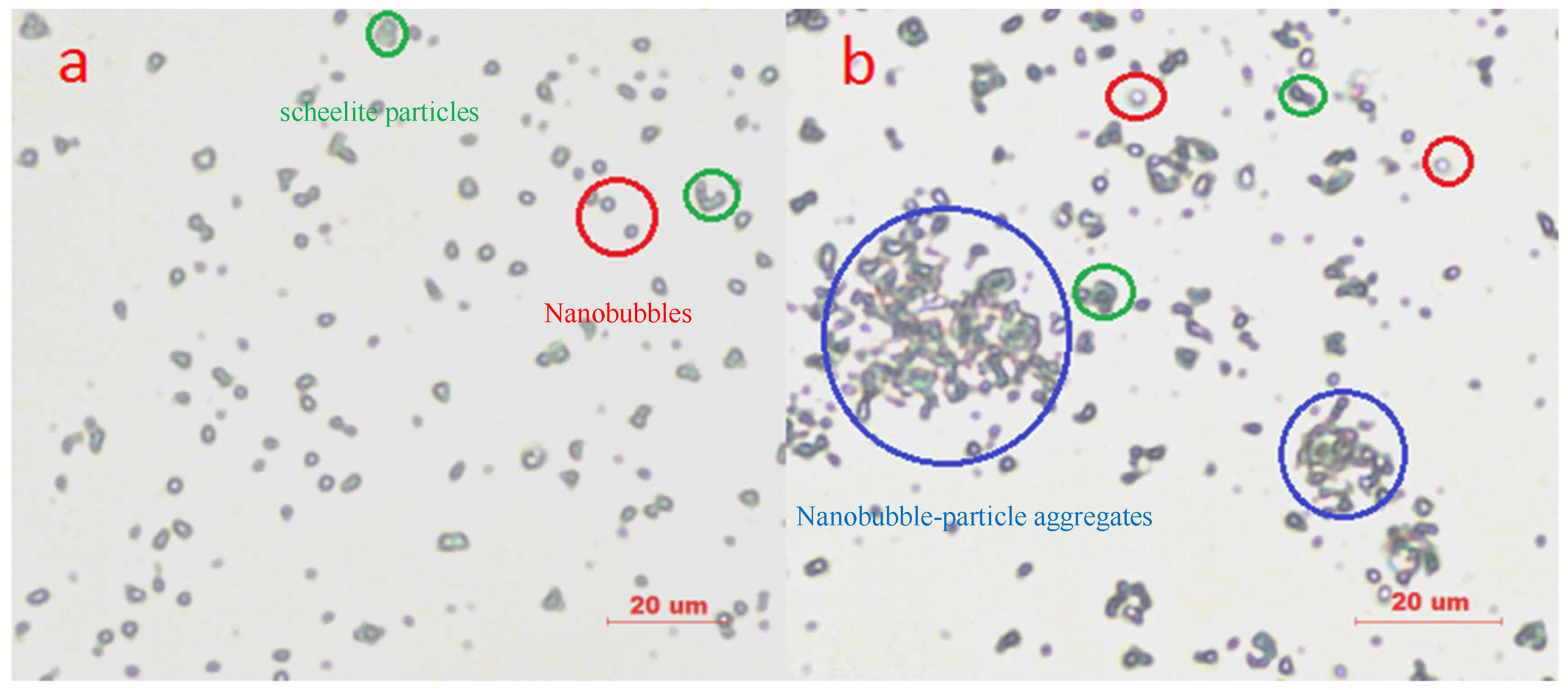 Minerals 08 00264 g006 550