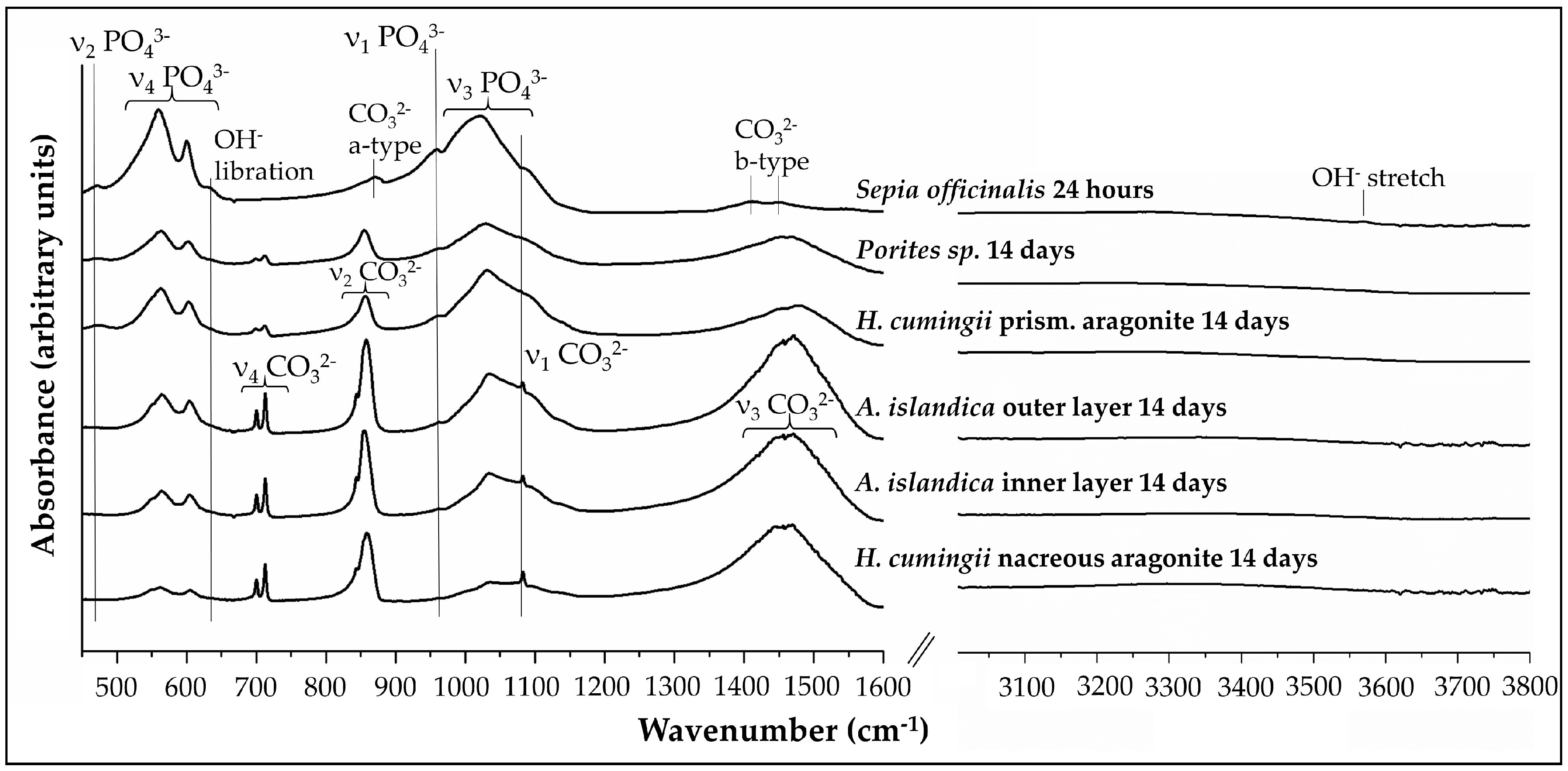 Minerals 08 00315 g002