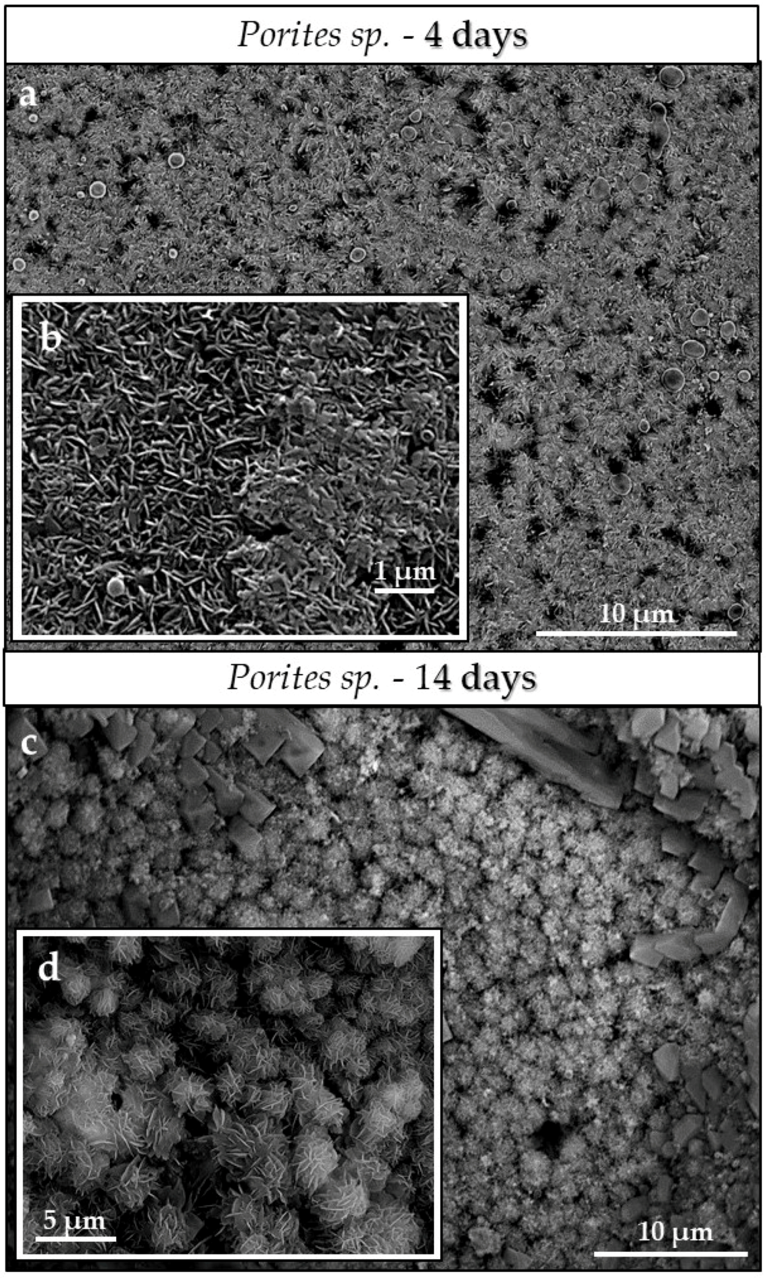Minerals 08 00315 g005