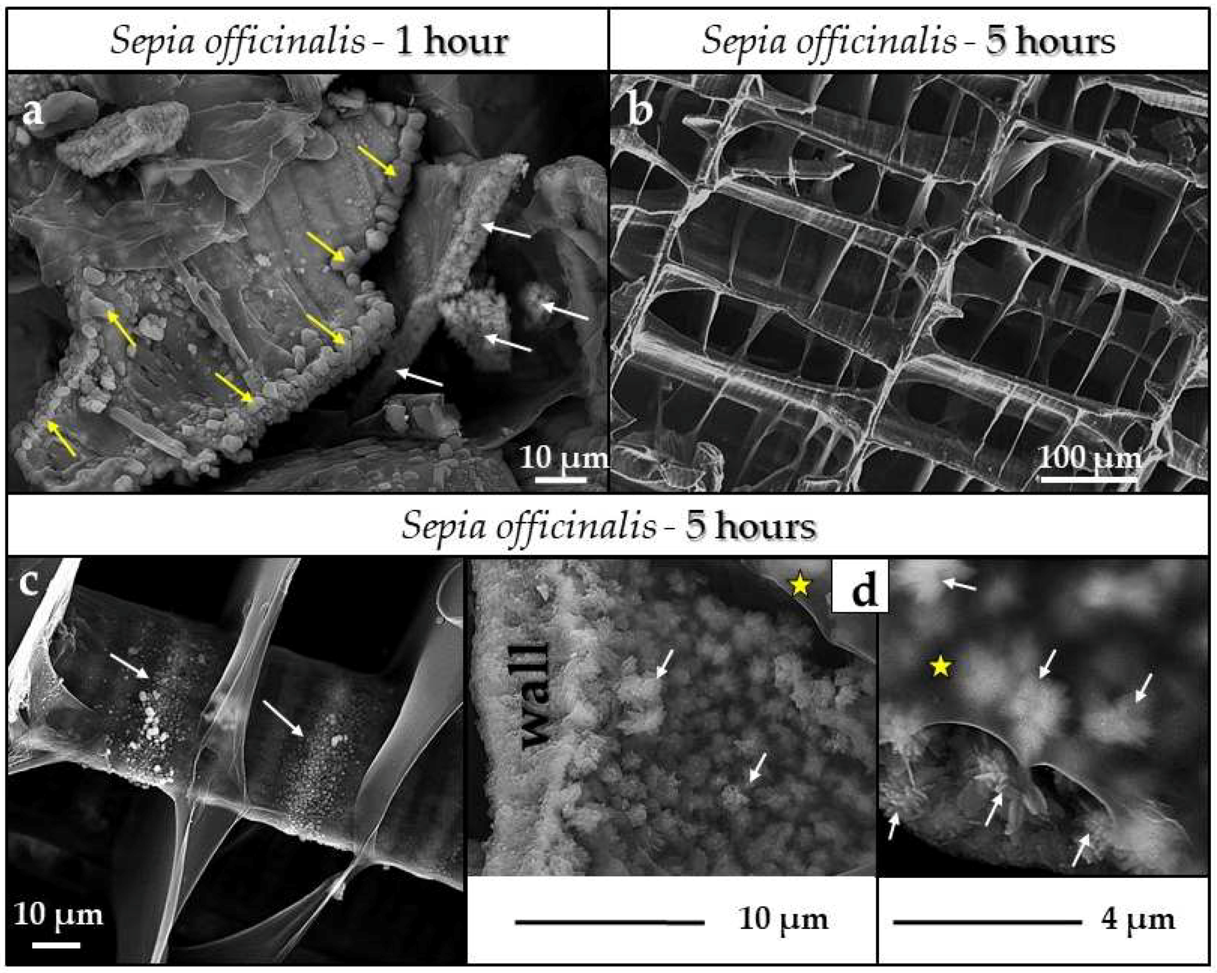 Minerals 08 00315 g007