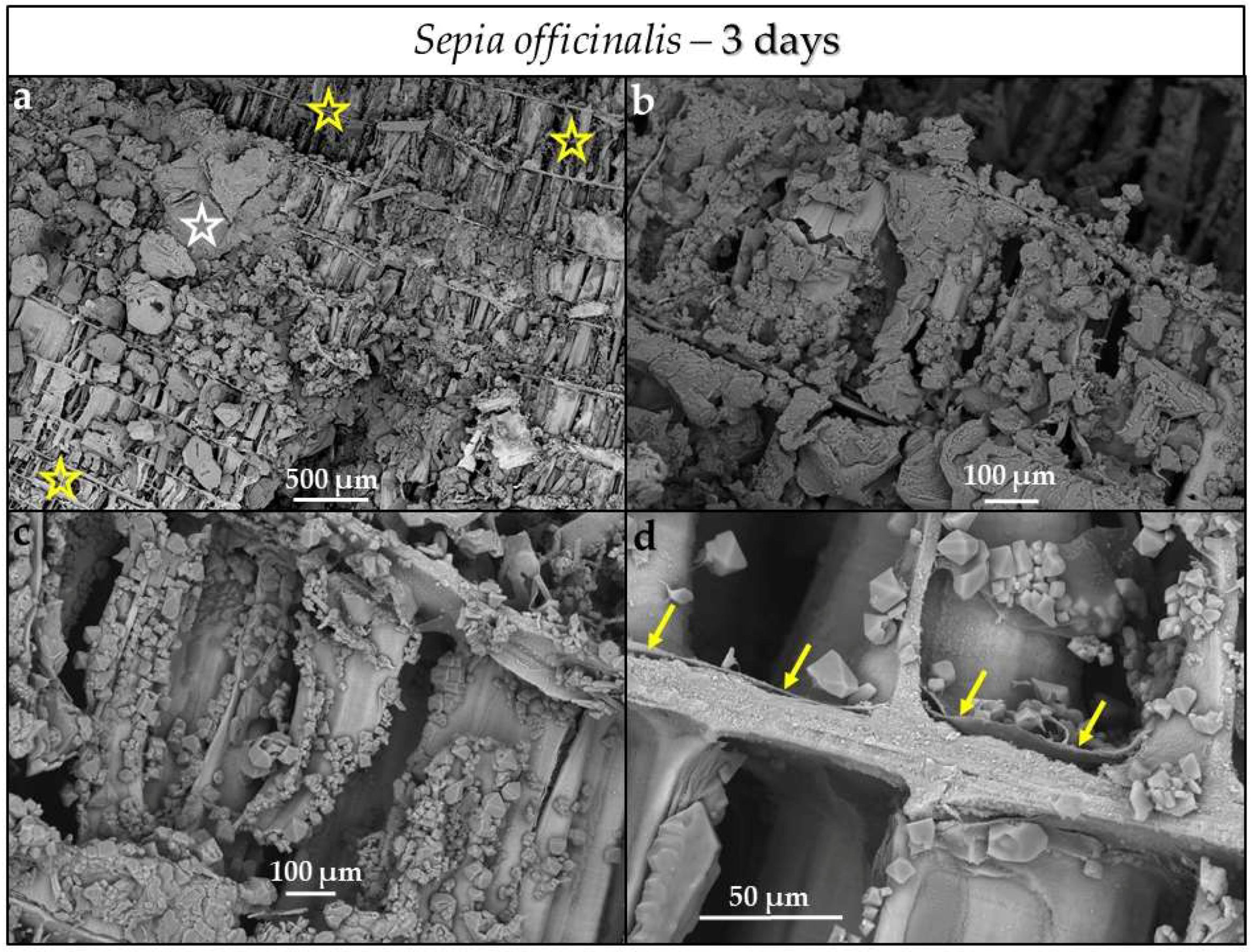 Minerals 08 00315 g010