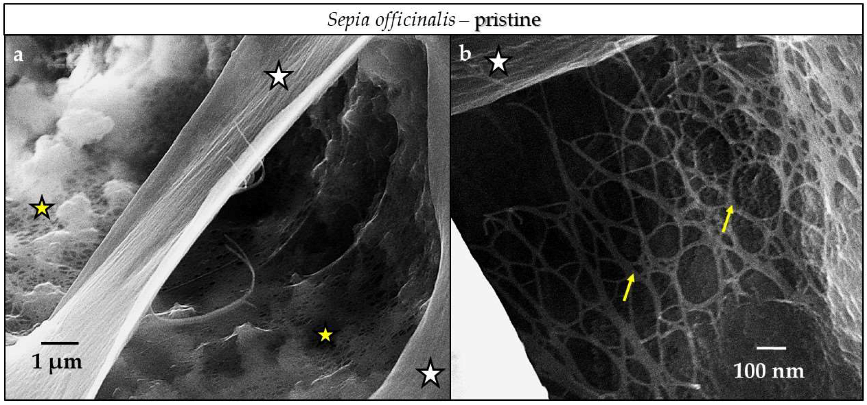 Minerals 08 00315 g0a14