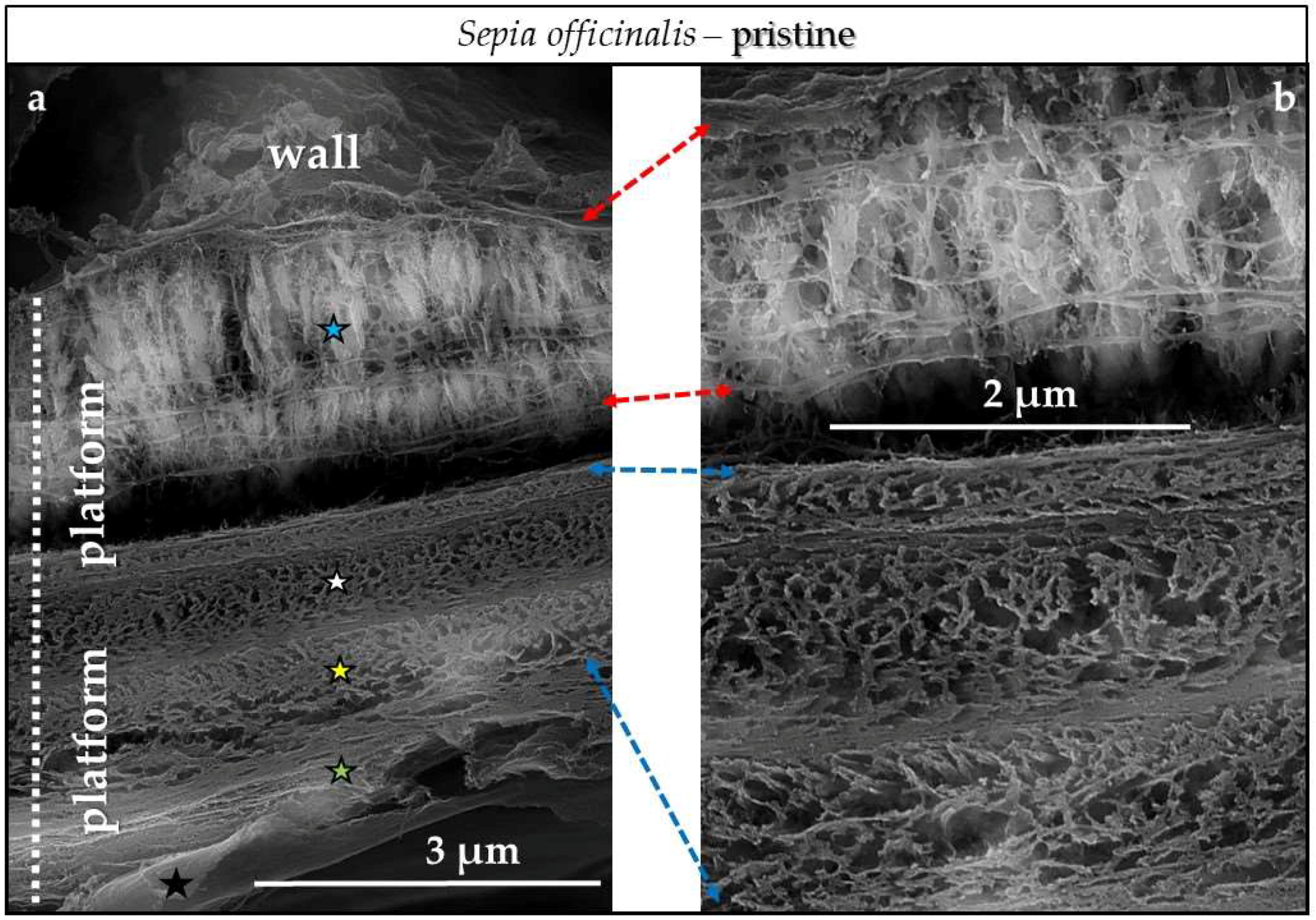 Minerals 08 00315 g0a15