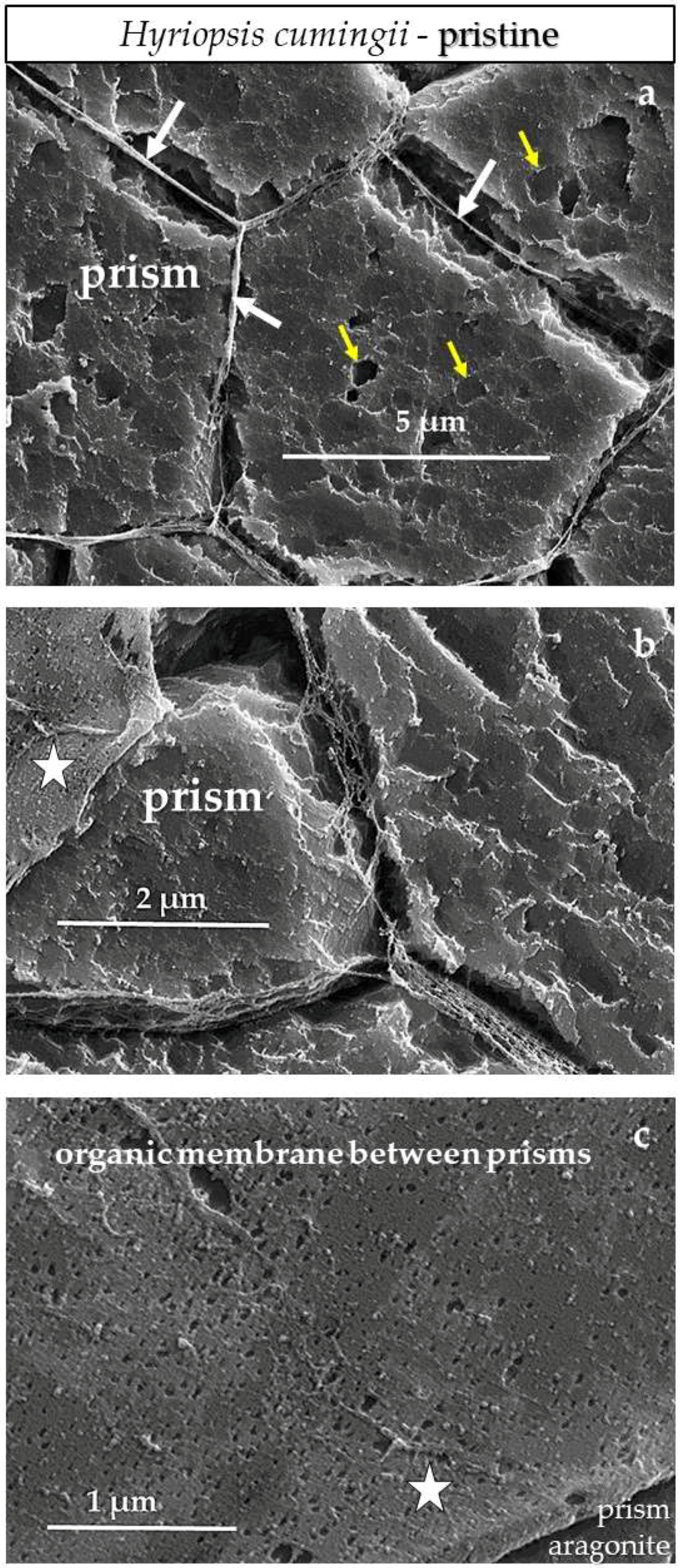 Minerals 08 00315 g0a17