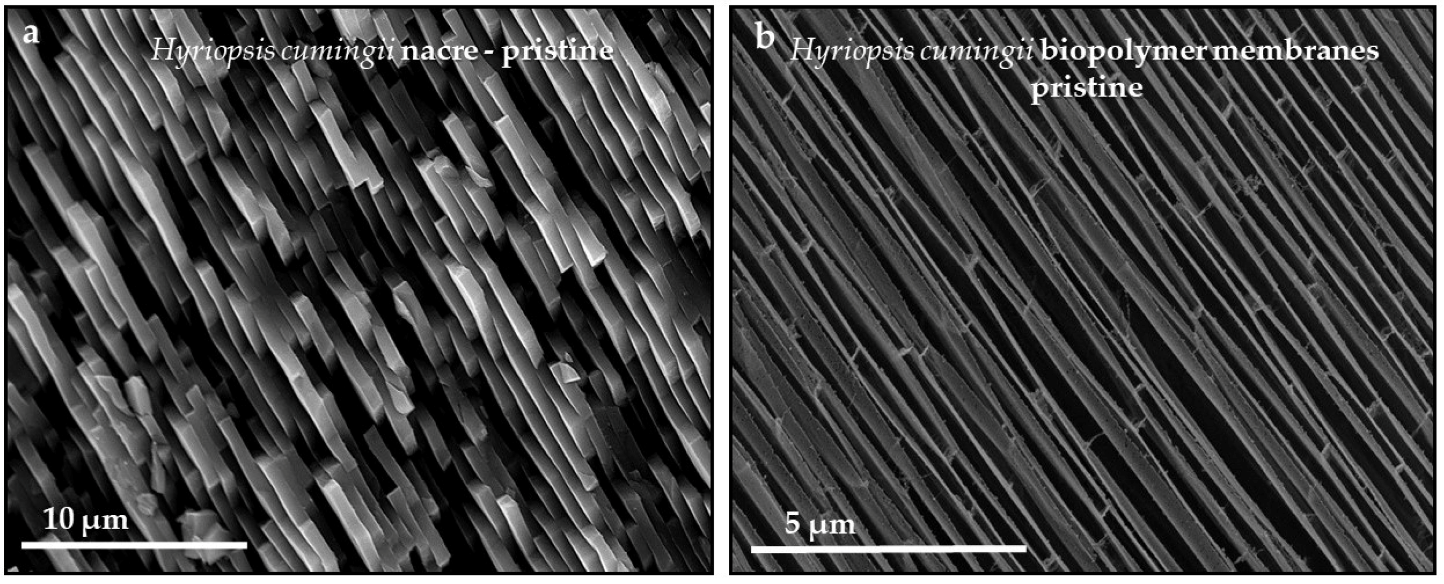 Minerals 08 00315 g0a5