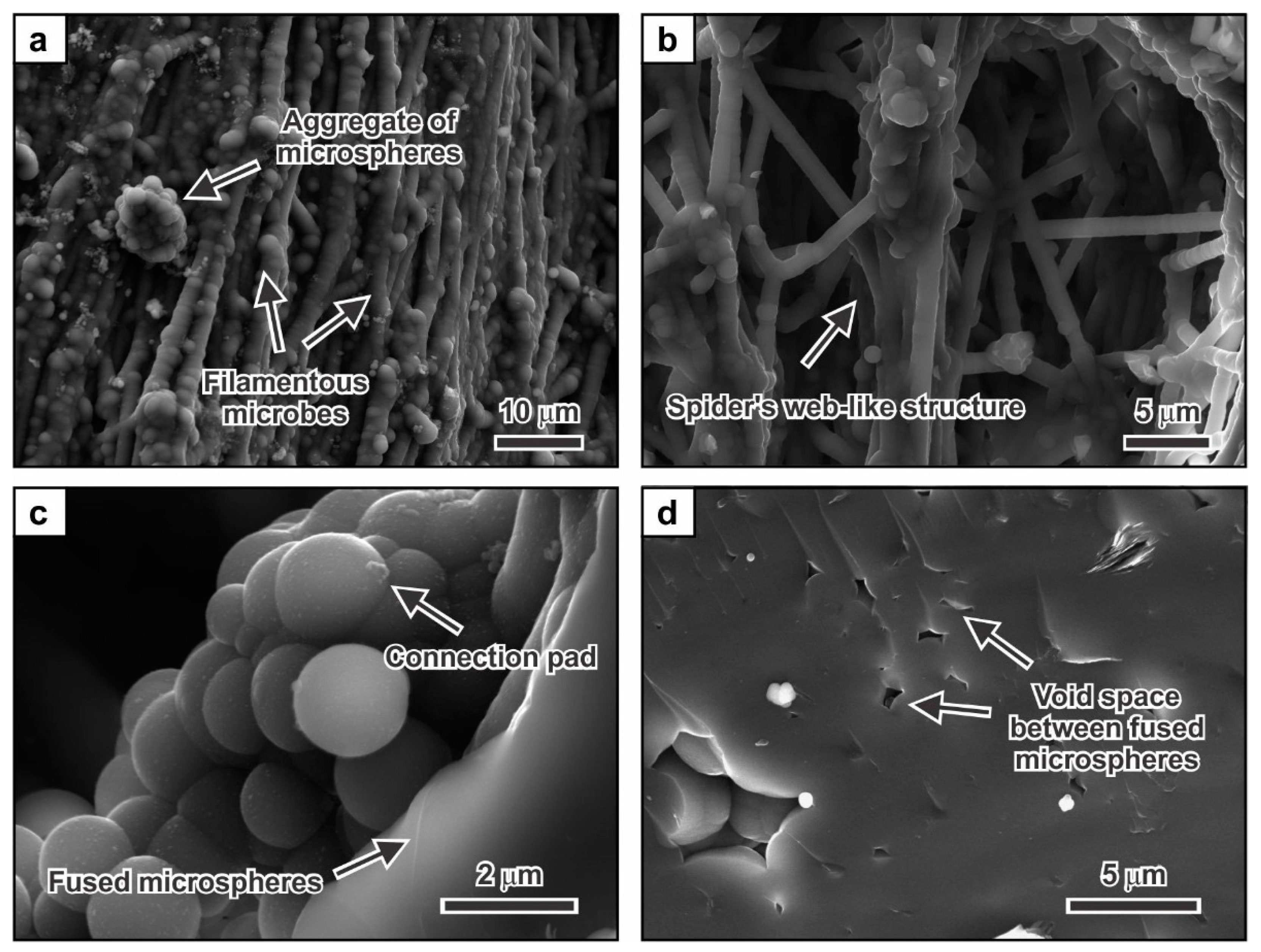 Minerals 08 00331 g004 Minerals 08 00331 g004