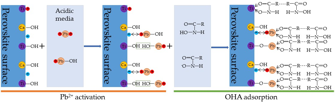 Minerals Free Full Text Activation Mechanism Of Lead Ions In Perovskite Flotation With Octyl Hydroxamic Acid Collector Html