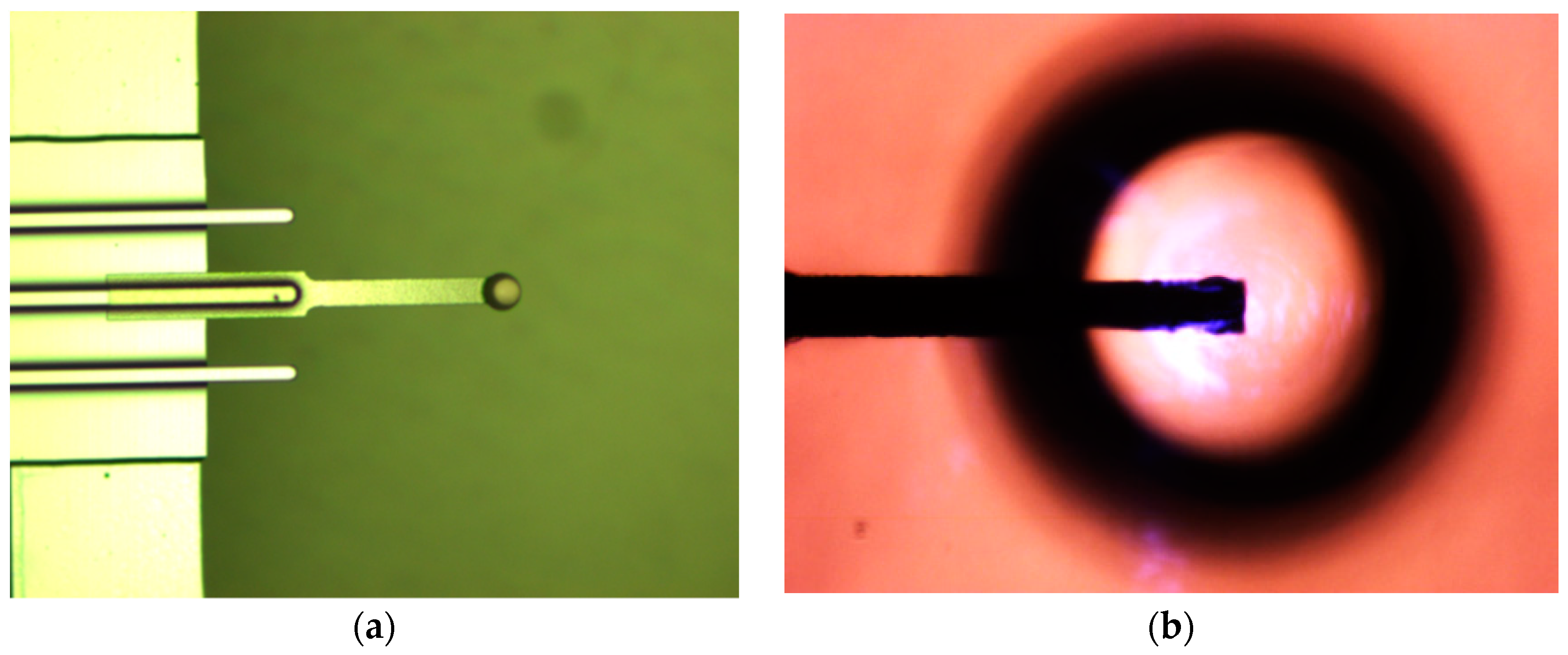 Minerals 08 00349 g003 Minerals 08 00349 g003